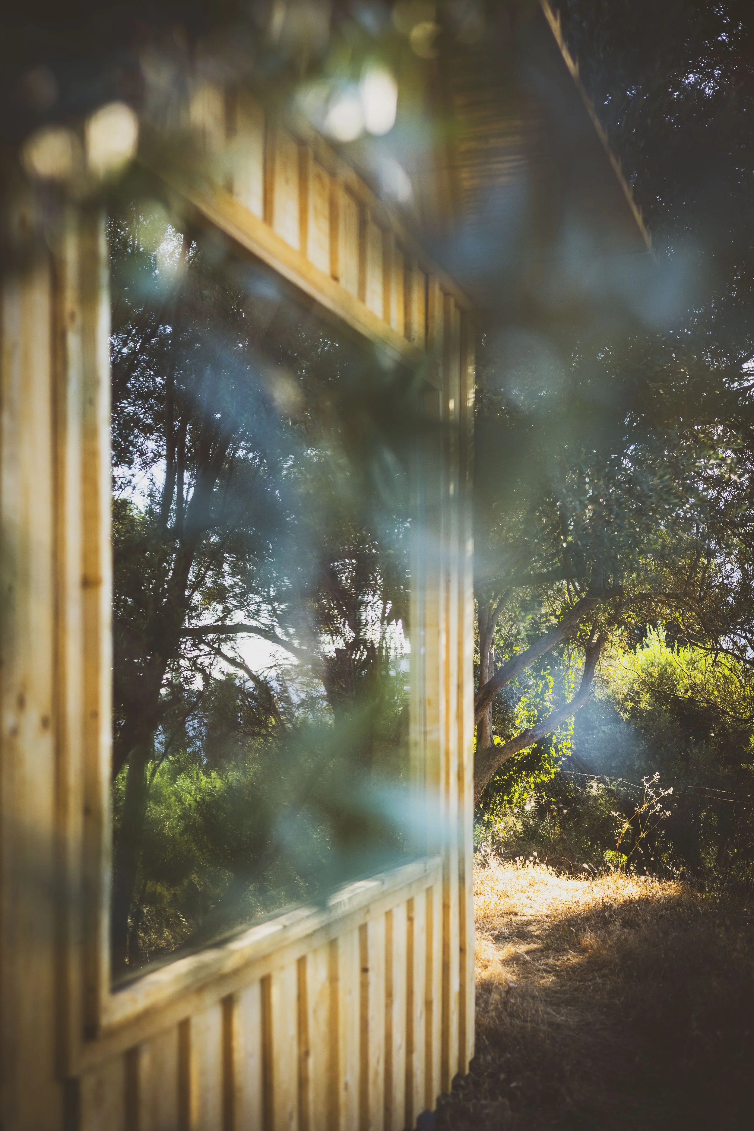 HIKE &amp; OLIVE HARVEST WEEK