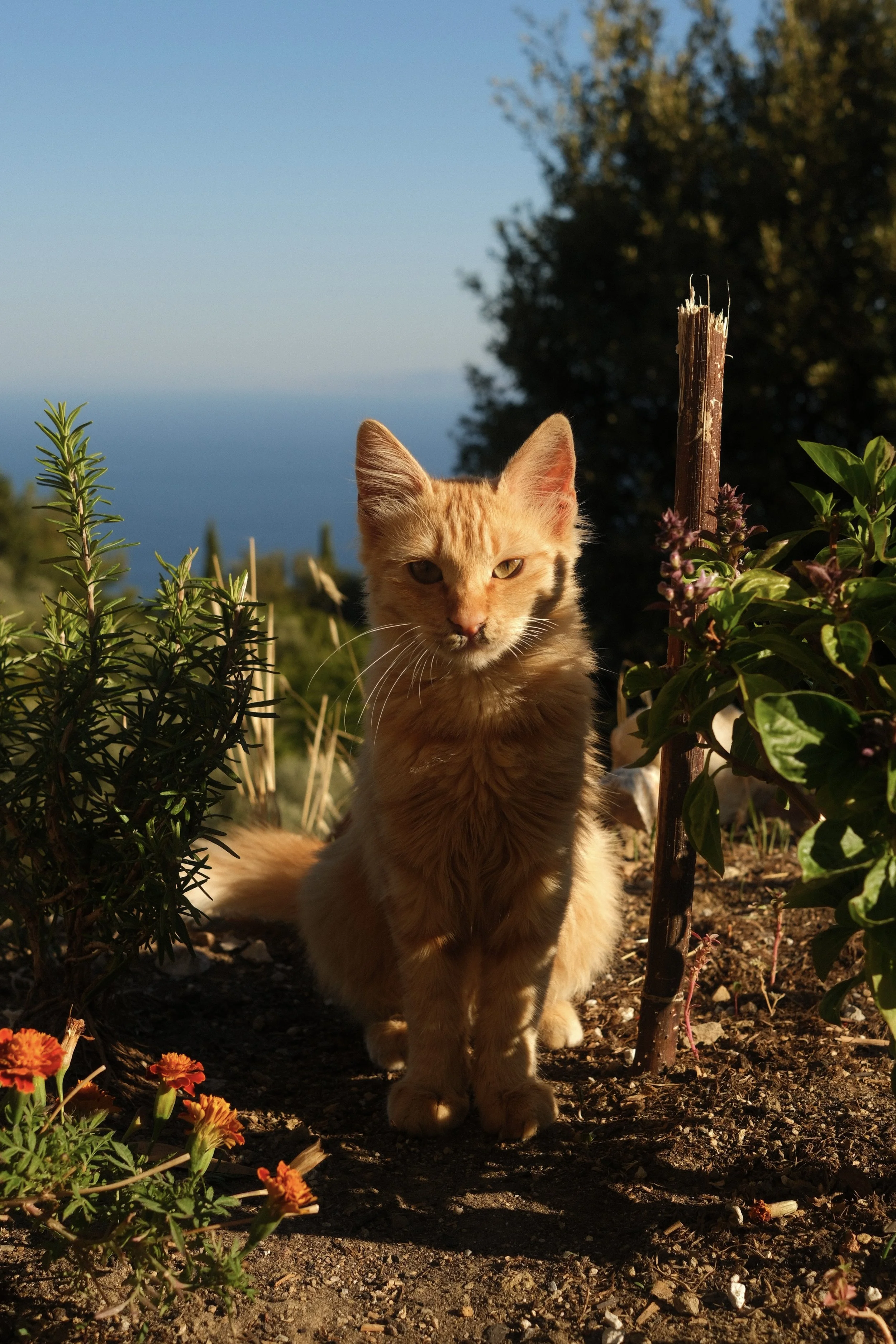 DSCF7848.jpg