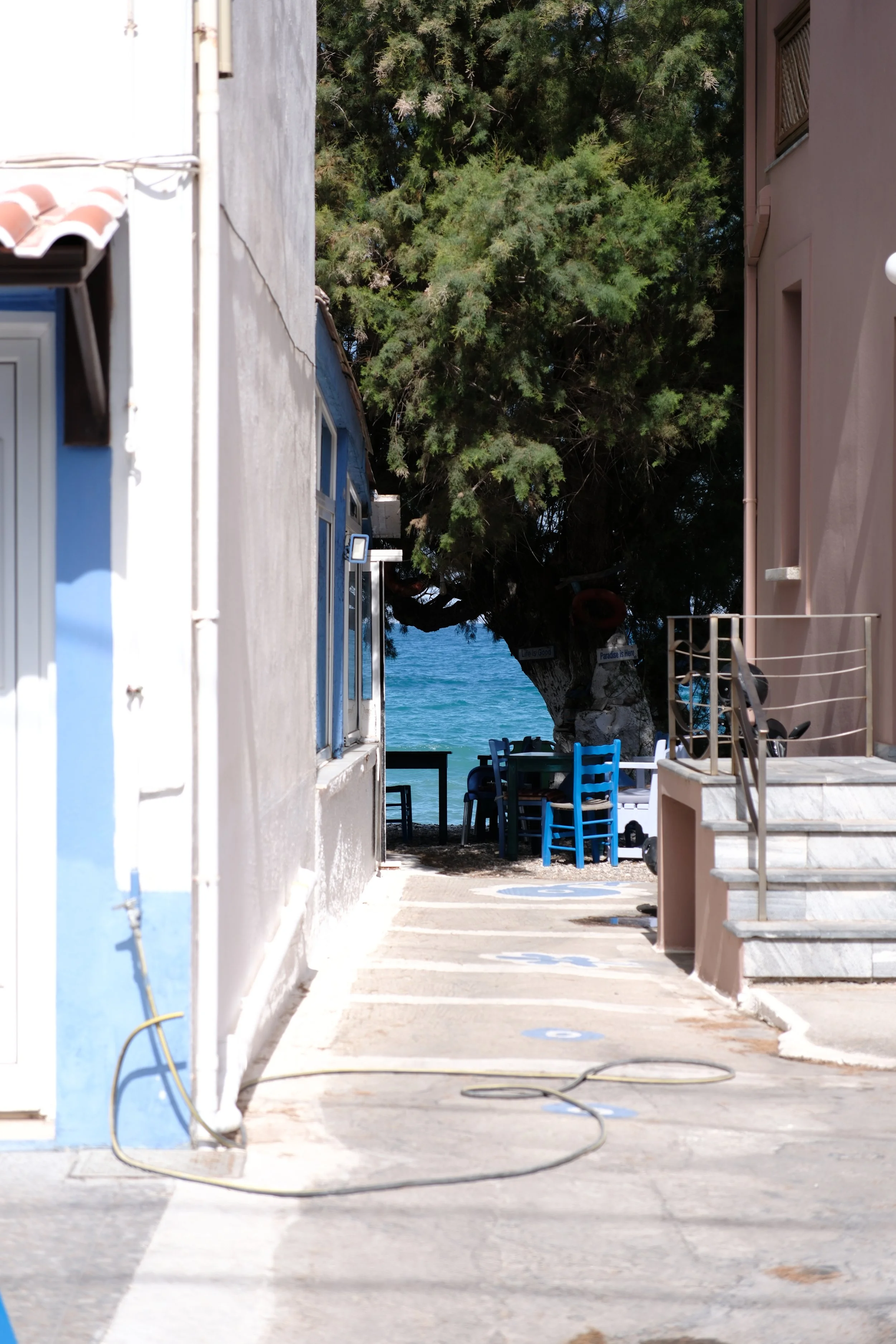 DSCF5983.JPG