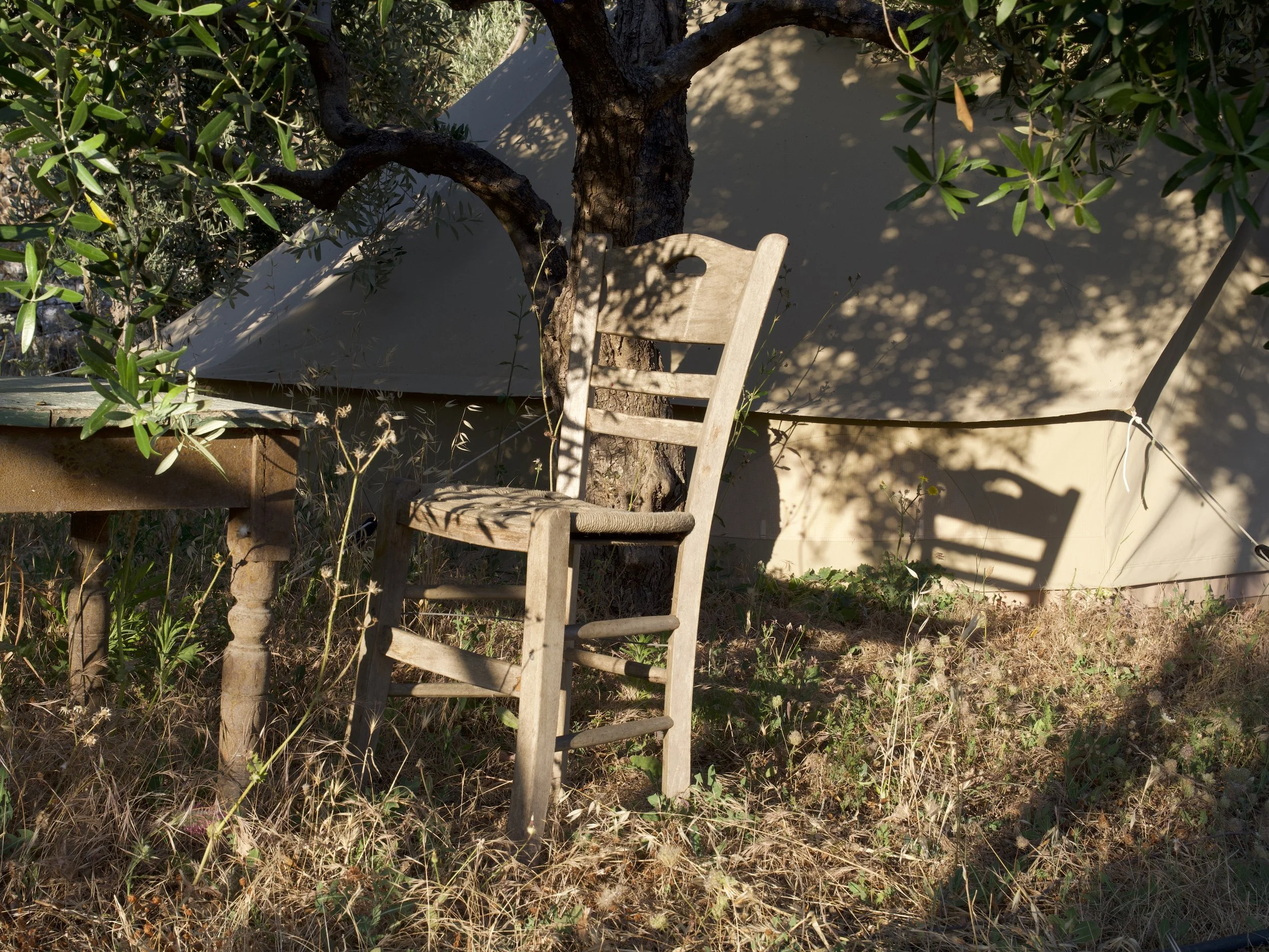 An old wooden chair outdoors near a tree with green leaves. Shadows cast by the tree and chair on the ground, with a cream-colored tent or structure in the background.