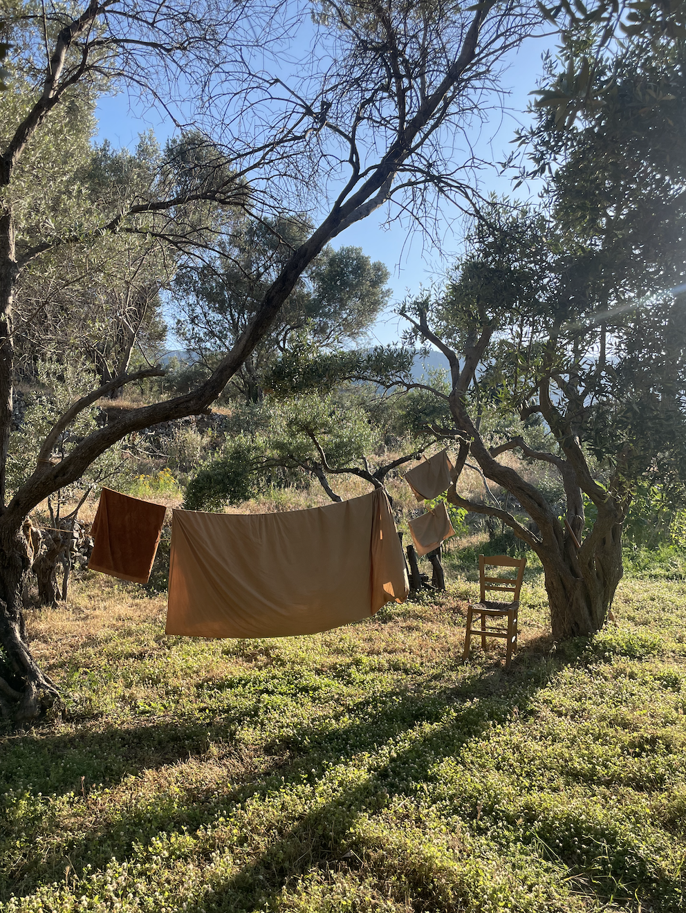 A brown cloth is hung on a clothesline tied between two trees in a grassy, wooded area under bright sunlight. A wooden chair stands near the tree on the right, with shadows cast on the ground.