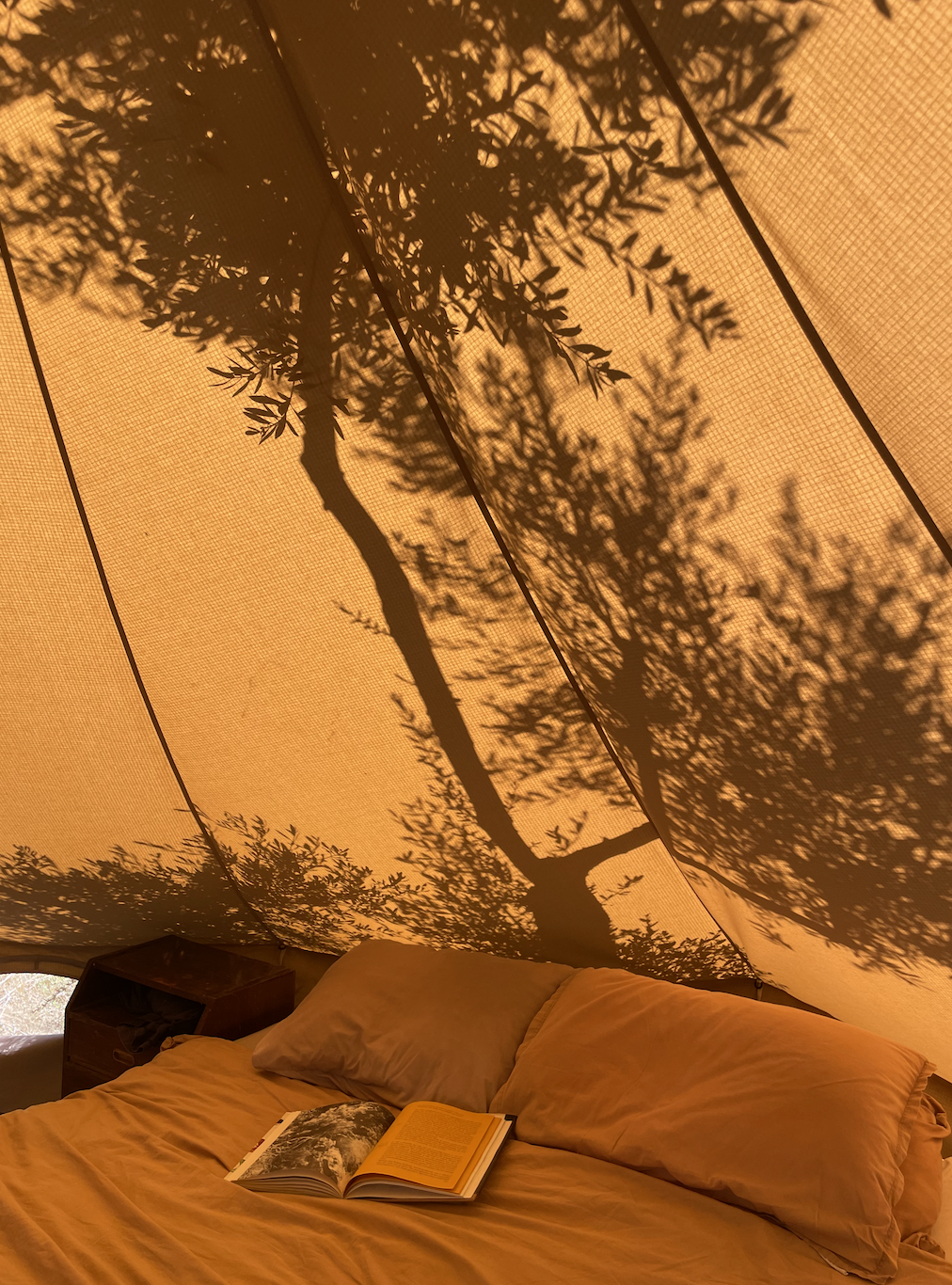 The shadow of tree branches and leaves is cast onto a tent or fabric, creating a natural silhouette pattern above a bed with beige pillows and an open book, in a cozy indoor setting.