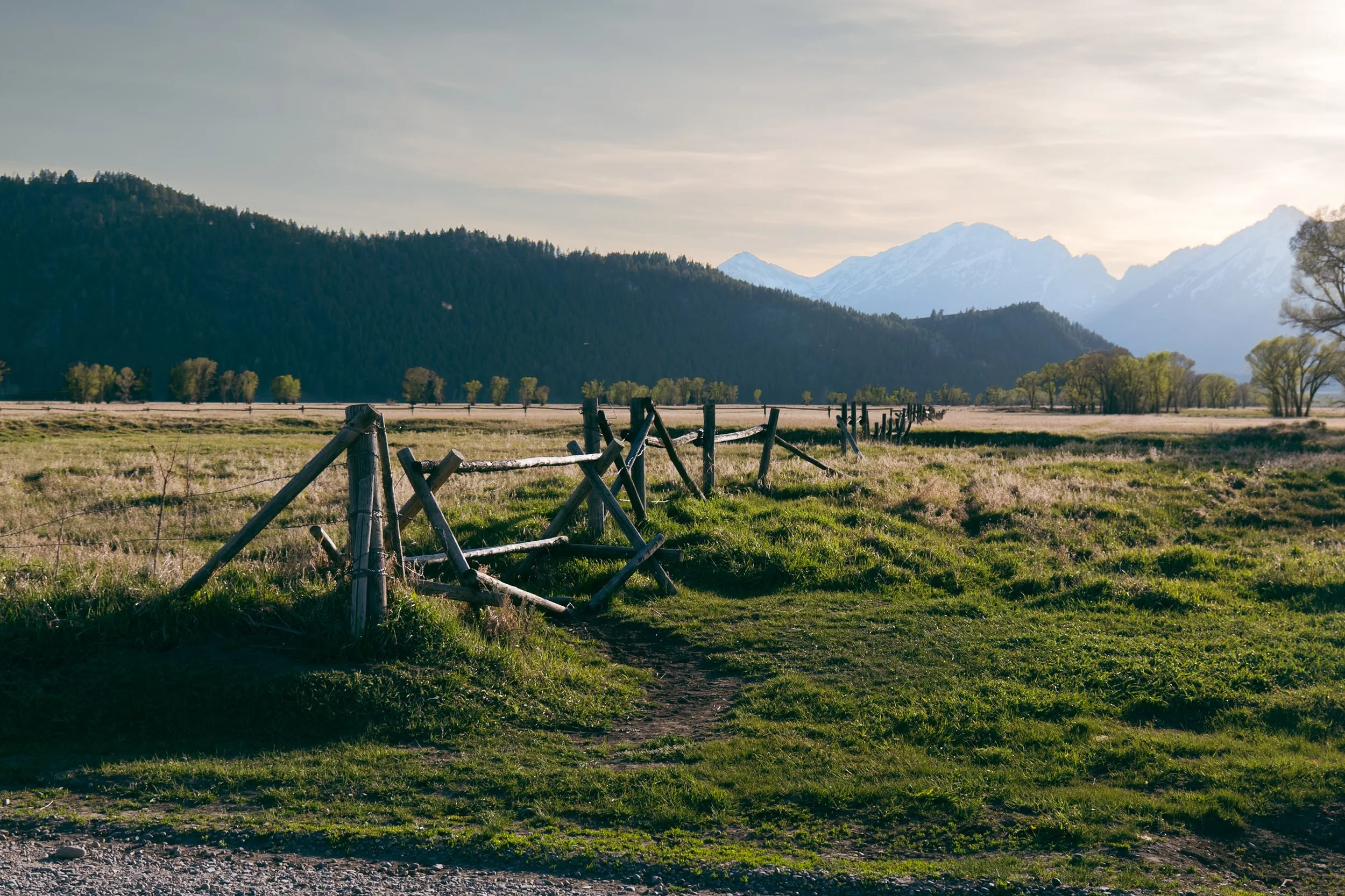 grand teton elopement photo (3 of 11).jpg