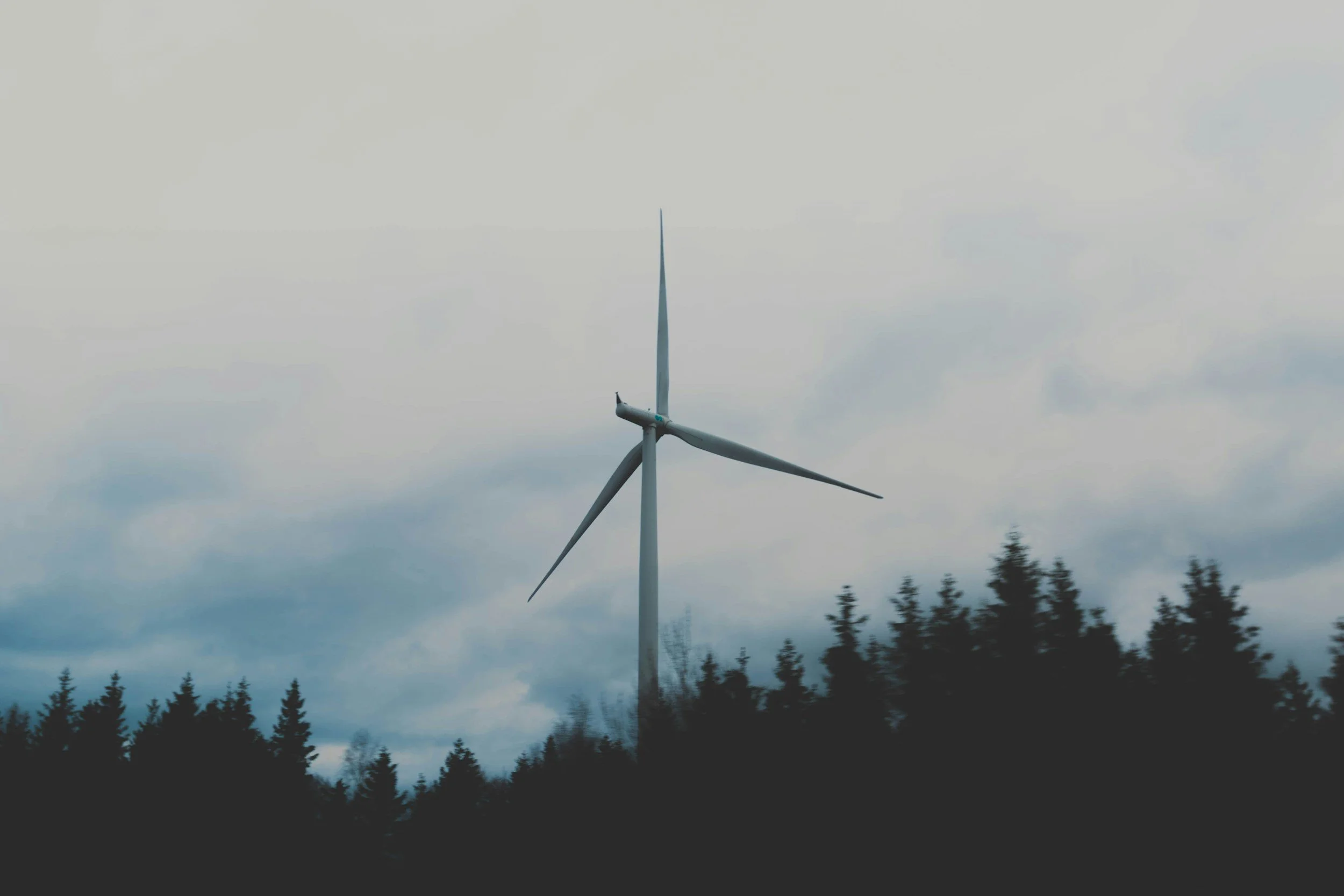 A wind turbine stands tall in a forested area under a cloudy sky.