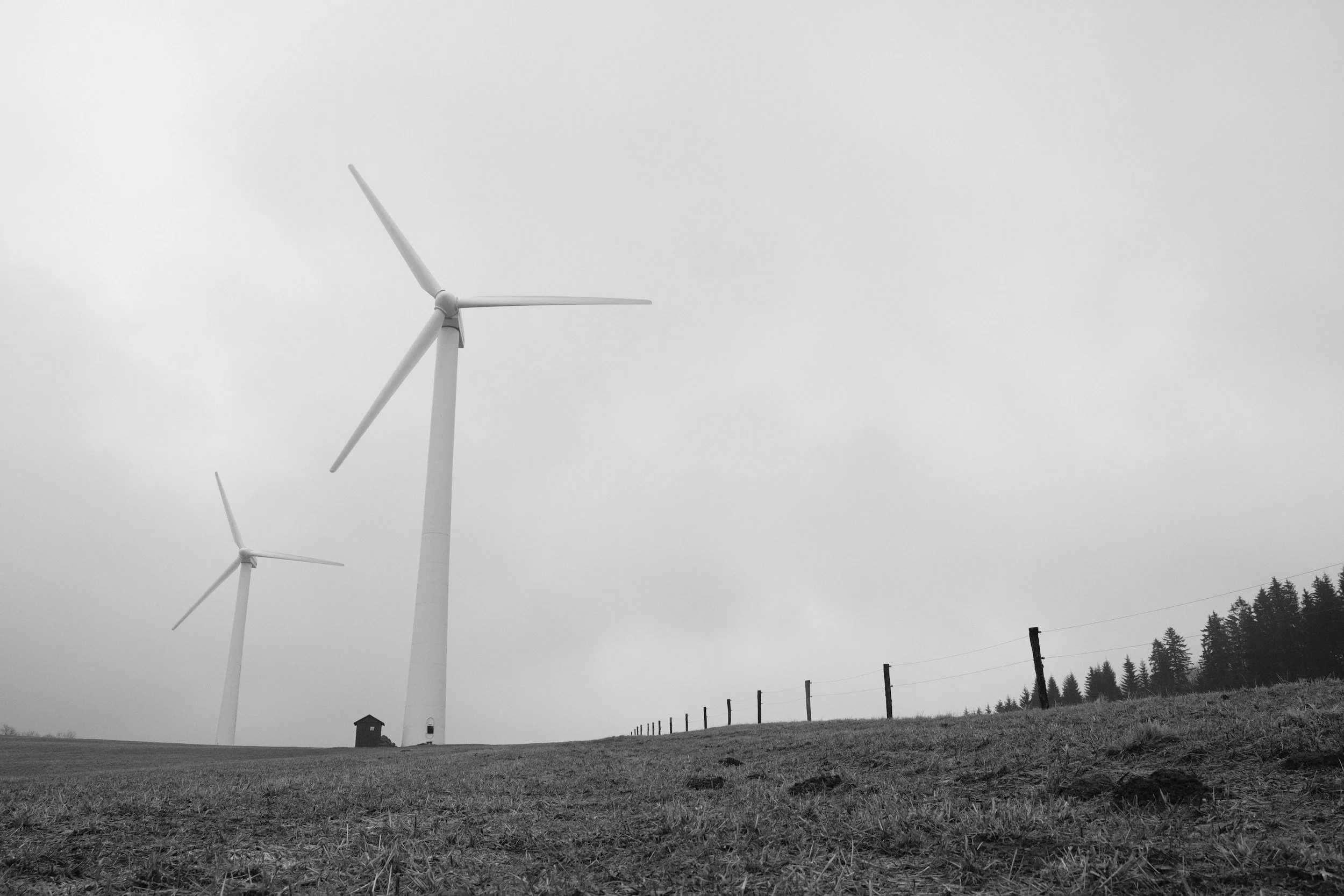 A black and white photo of several wind turbines in a field, with small trees and a fence in the background, under a cloudy sky.