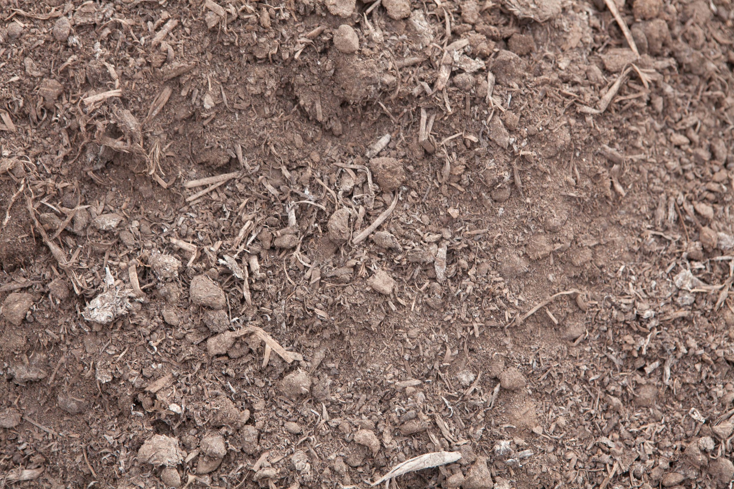 Cow Manure x Mushroom Compost