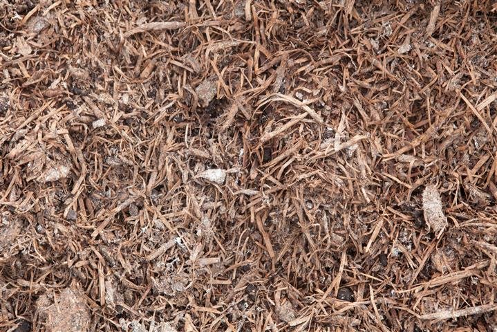 Mushroom Compost
