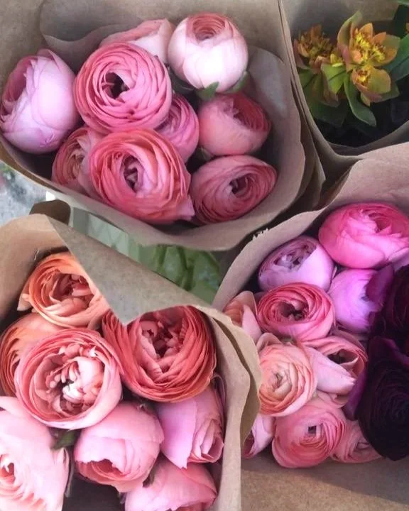 Multiple bouquets of pink and peach ranunculus flowers wrapped in brown paper.