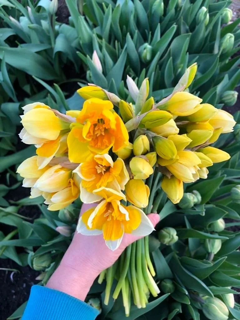 First Blooms Bouquet