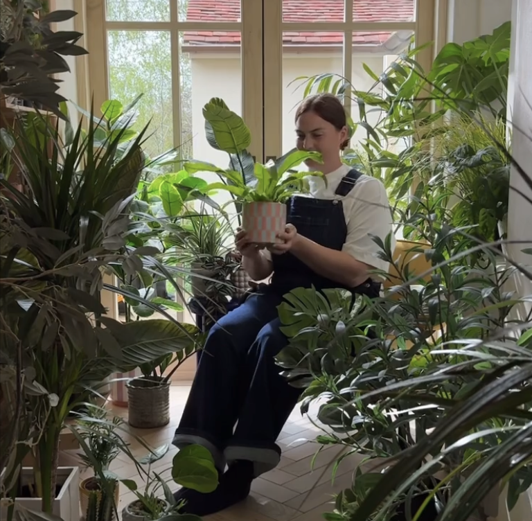 ARGOS SUMMER SOCIALS