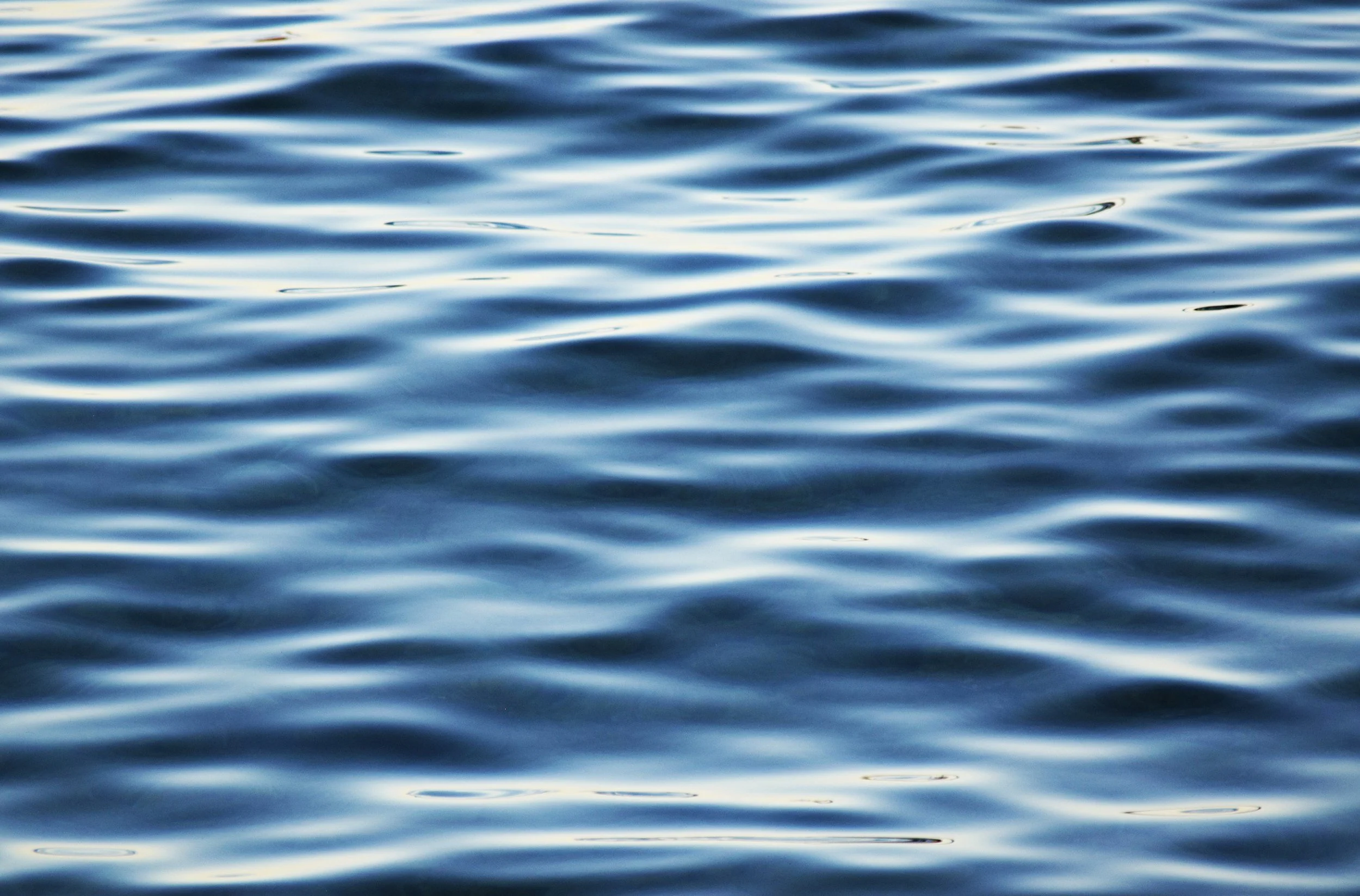 Calm ocean surface with gentle ripples