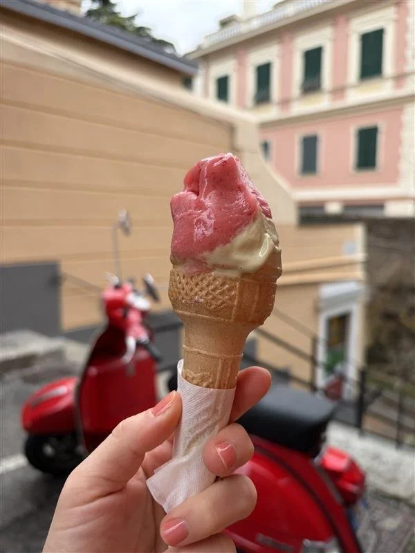 Image - 2026-03-13T104424.263.jpg