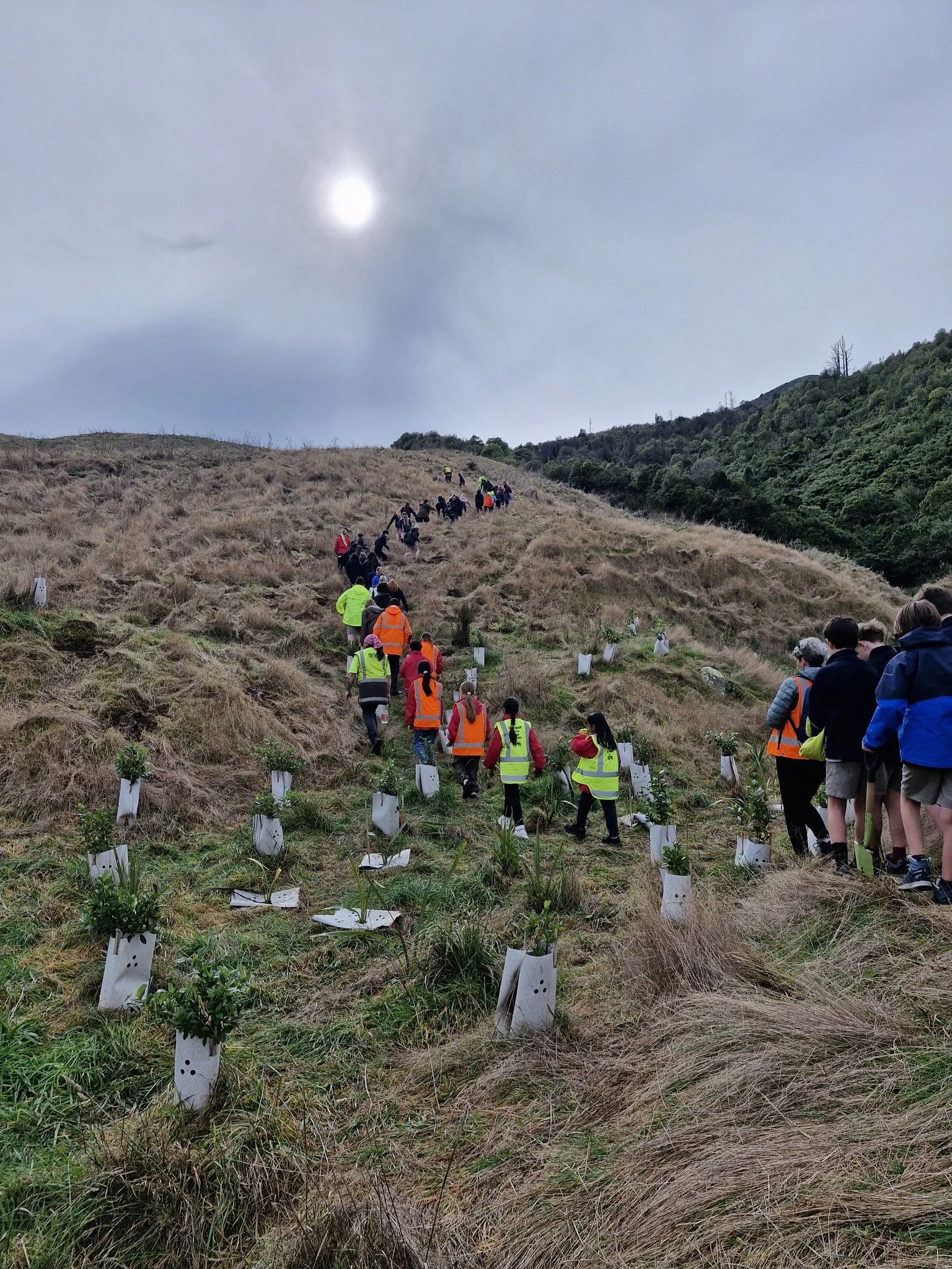 Matariki ki Te Maunga 2024: Where It All Started