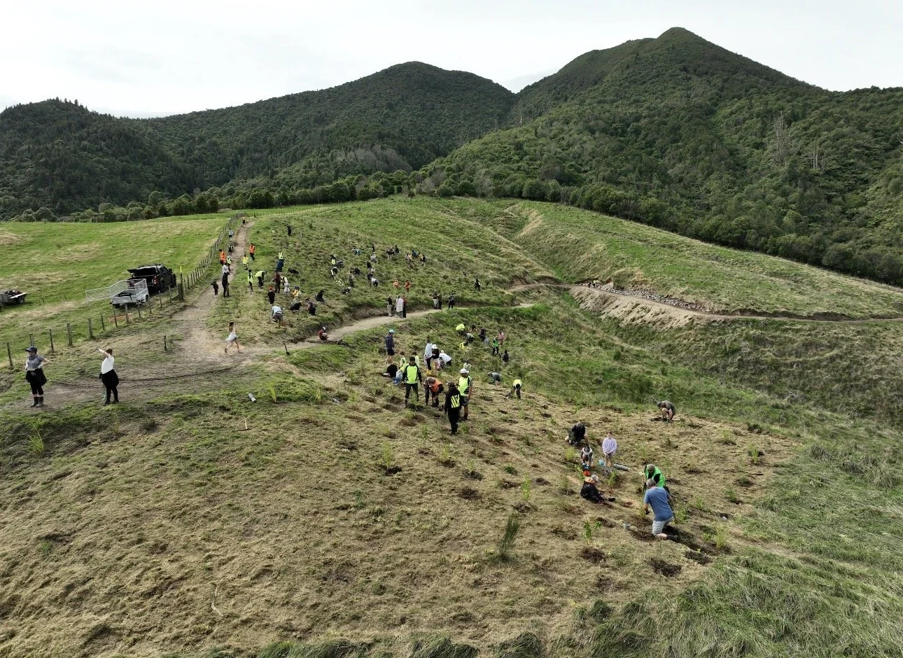Tauhara Hīkoi Track Opening
