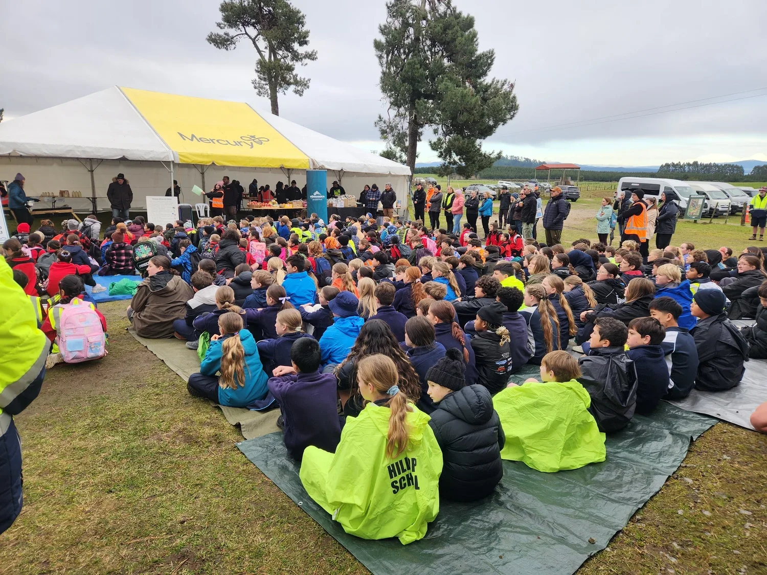 Tauhara Kitea 2025: A Second Season of Growth