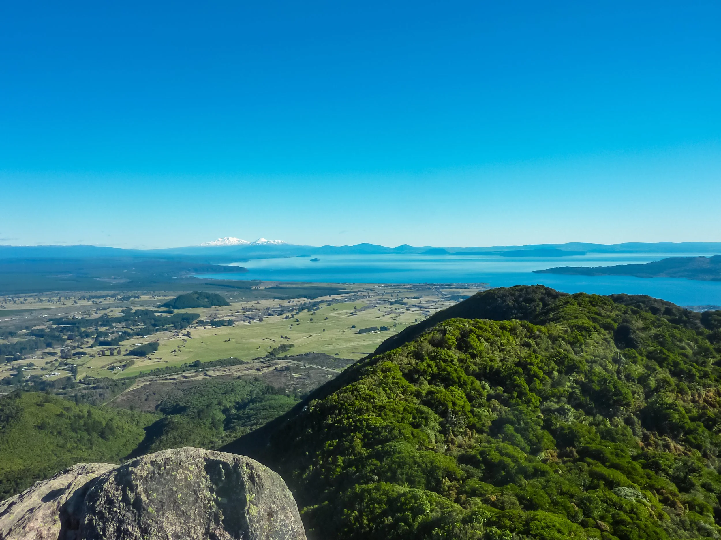 AdobeStock_1211891644.jpeg
