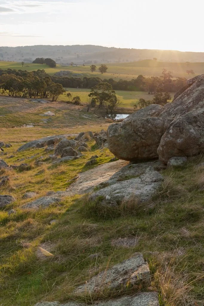 A scenic landscape of Pyalong Victoria Australia with rocks in the foreground, rolling grassy hills, scattered trees, and a small body of water, with the sun setting in the distance.