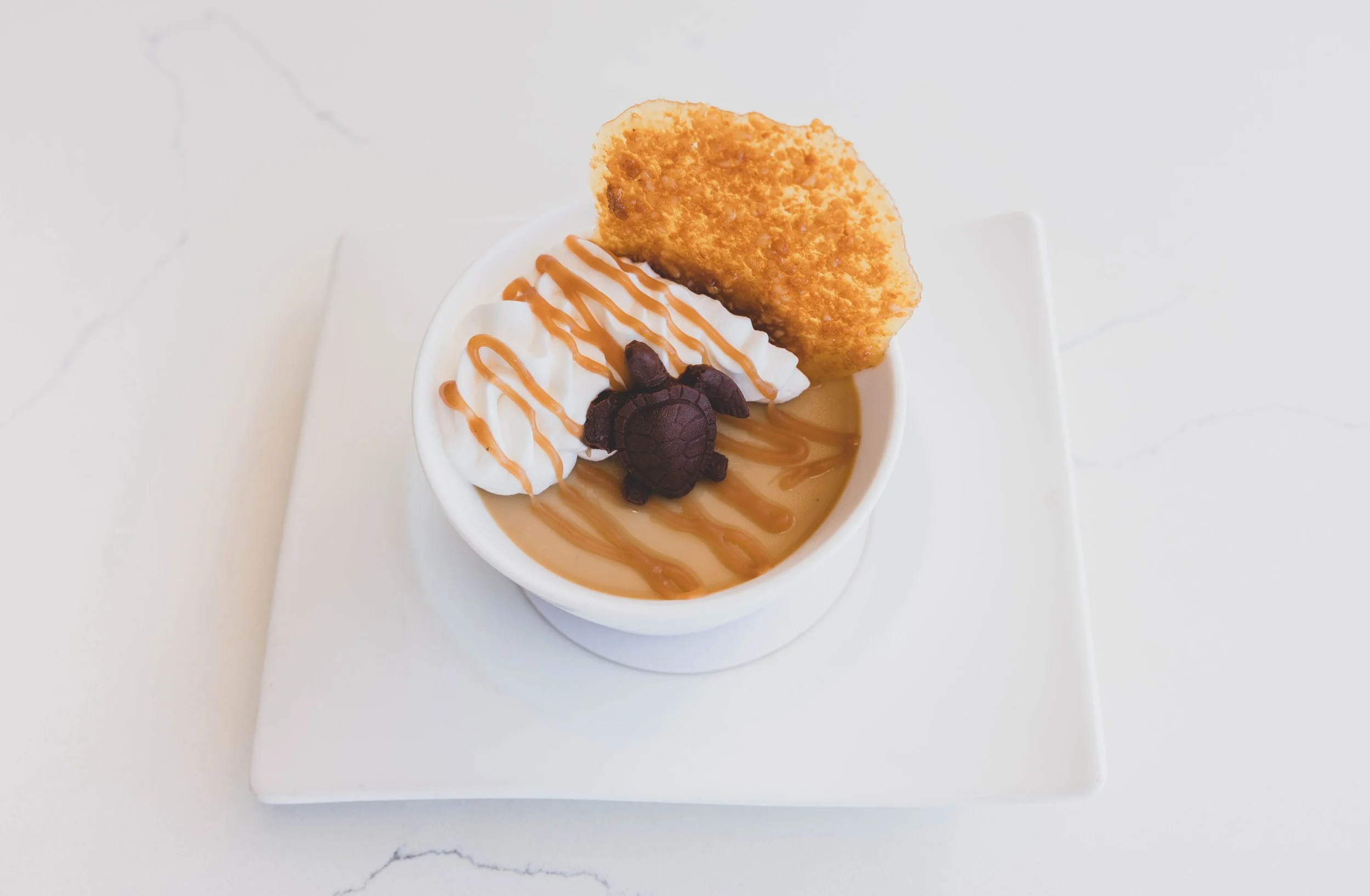 Caramel pudding topped with whipped cream, caramel drizzle, a chocolate turtle-shaped candy, and a large cookie on a white plate.
