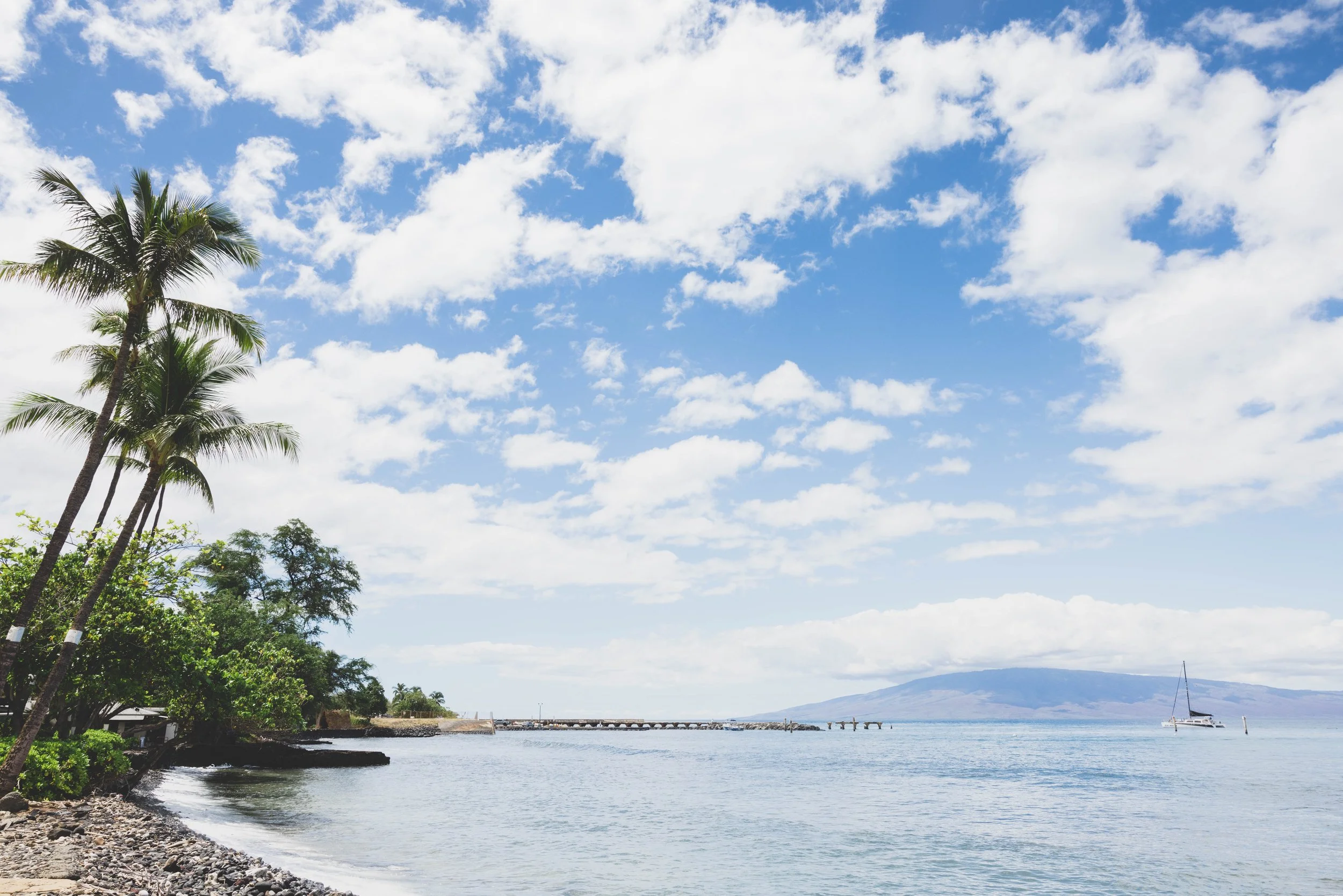 A tropical beach scene with palm trees on the left, a pebbled shoreline, a calm ocean with a sailboat, and a cloudy sky with a distant mountain in the background.