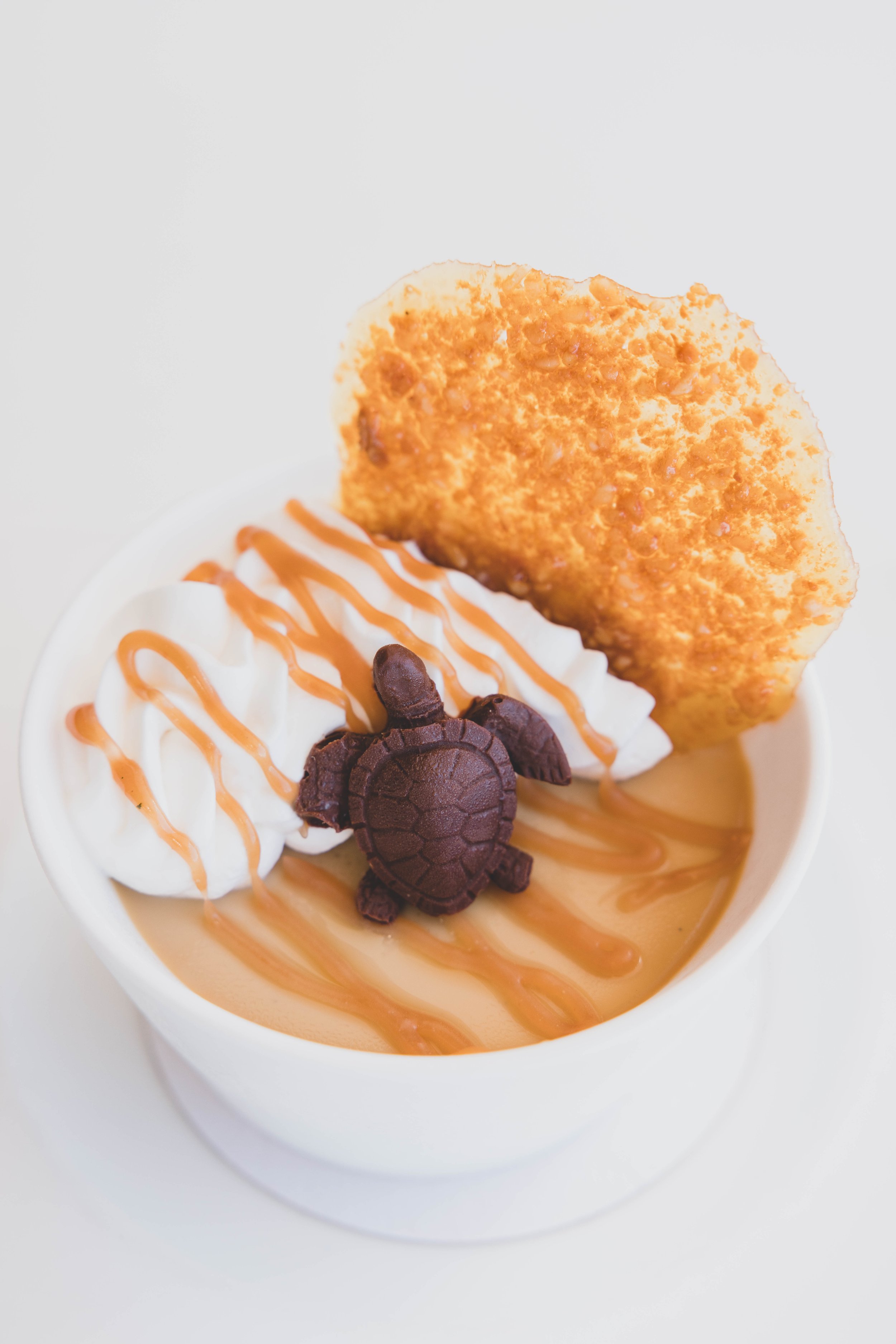 A bowl of caramel pudding topped with whipped cream, caramel drizzle, a chocolate turtle-shaped candy, and a large crispy chip.