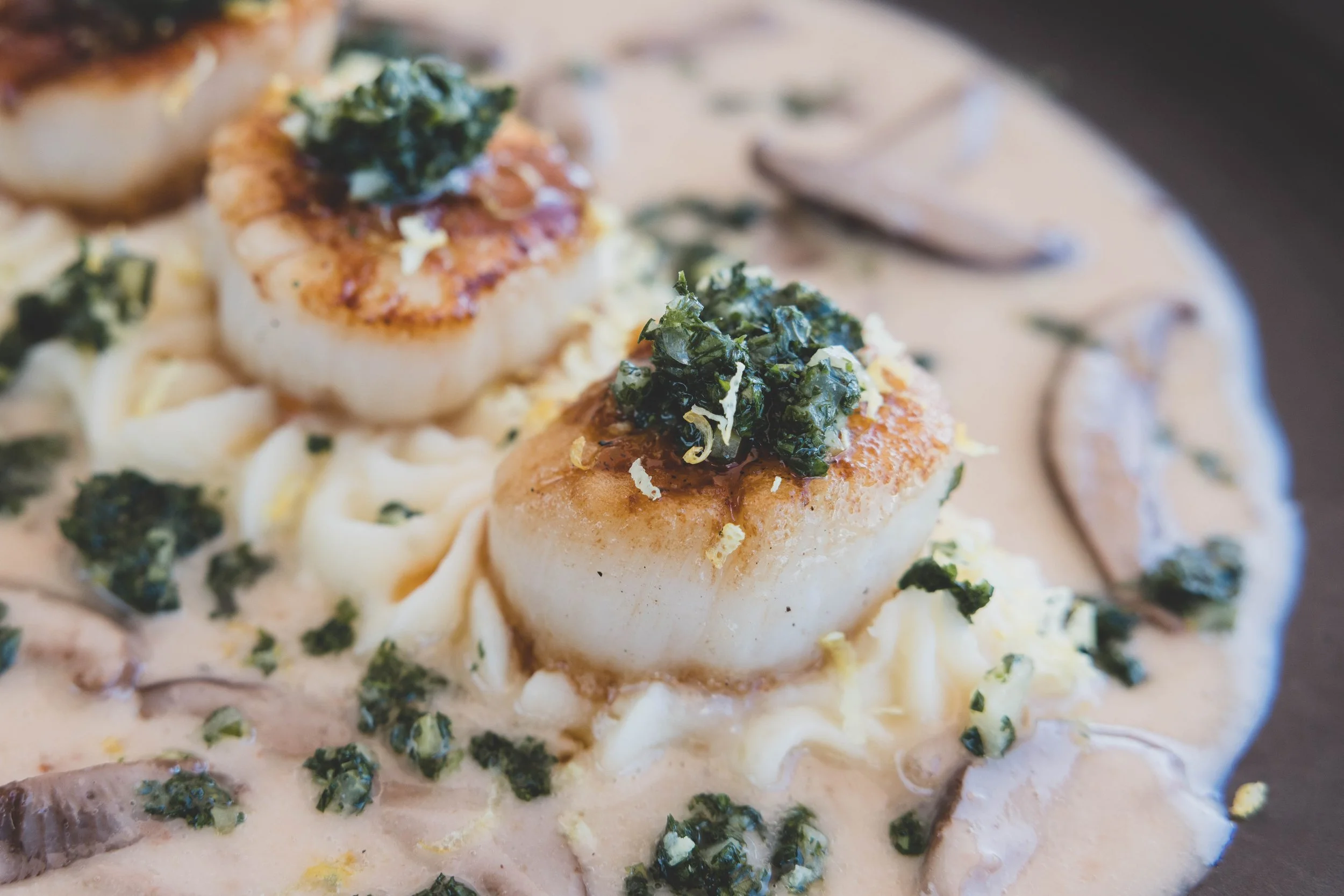 Close-up of a dish featuring two seared scallops topped with herbs, served in a creamy sauce with mushrooms and garnished with chopped herbs and lemon zest.