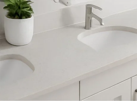 Close-up of a white bathroom vanity with two sinks, a chrome faucet, and a potted plant on the countertop.