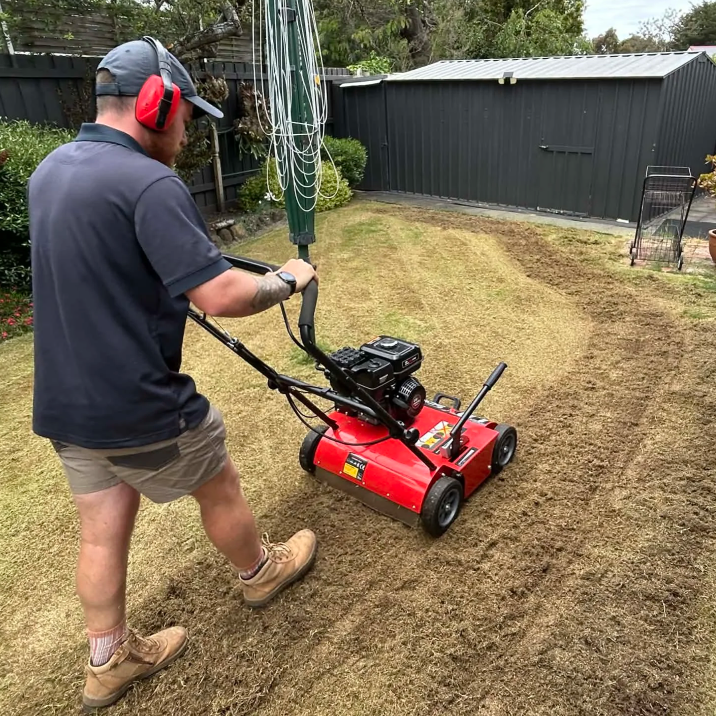 A man wearing a dark shirt, shorts, work boots, a cap, and headphones is using a red power rake to aerate a lawn in a backyard with a black fence and a shed.