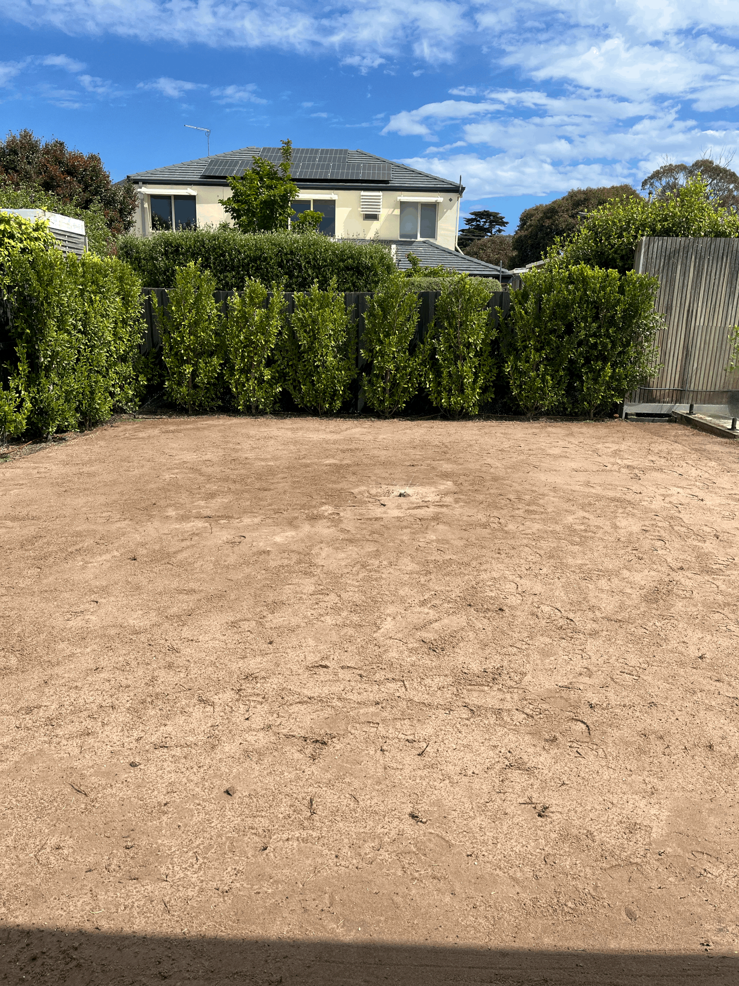 Get Your Lawn Spring Ready - Spring Guide for Bayside Homeowners