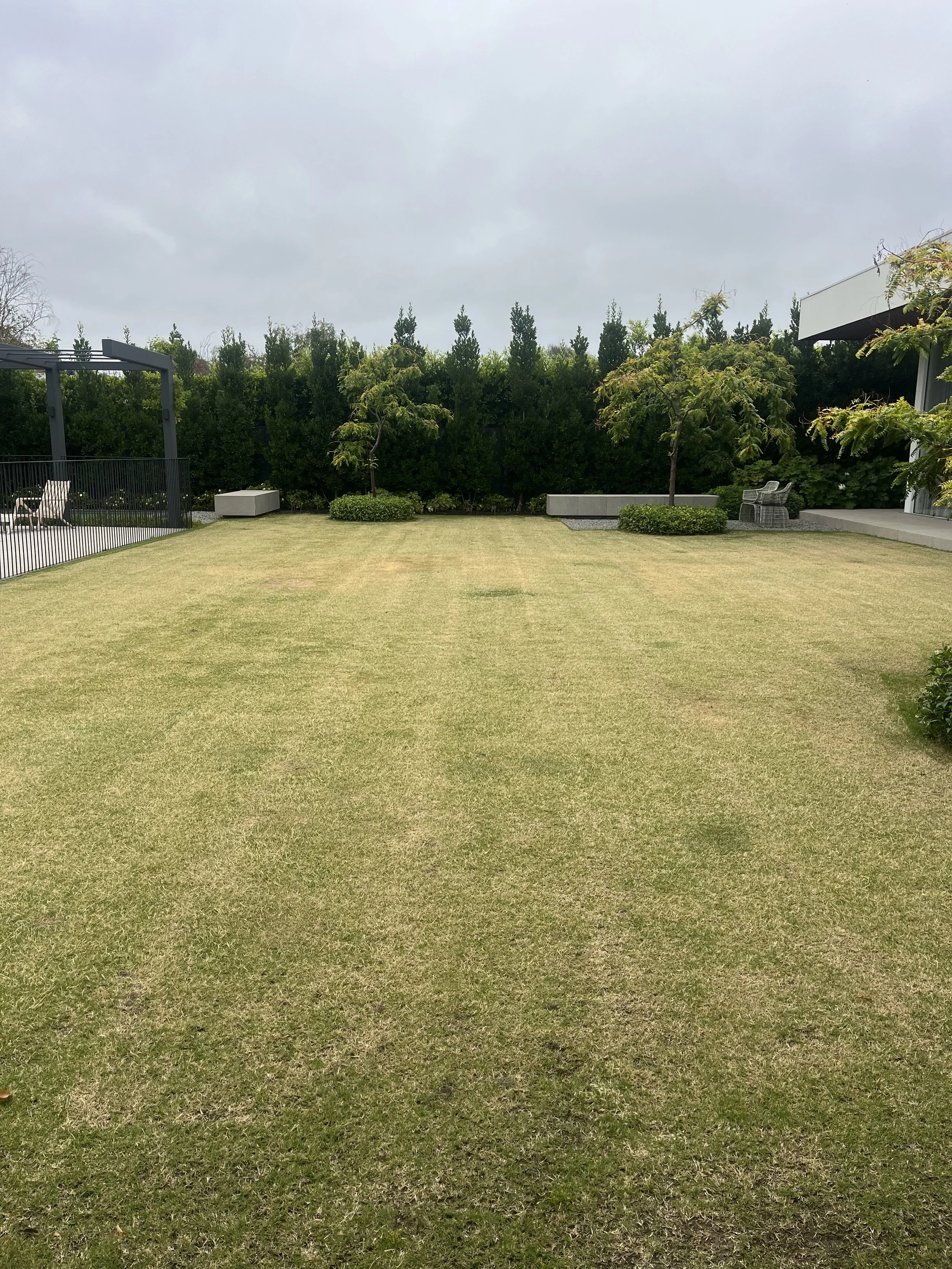 First visit, scalped the lawn down to 7mm to reset the height of cut.