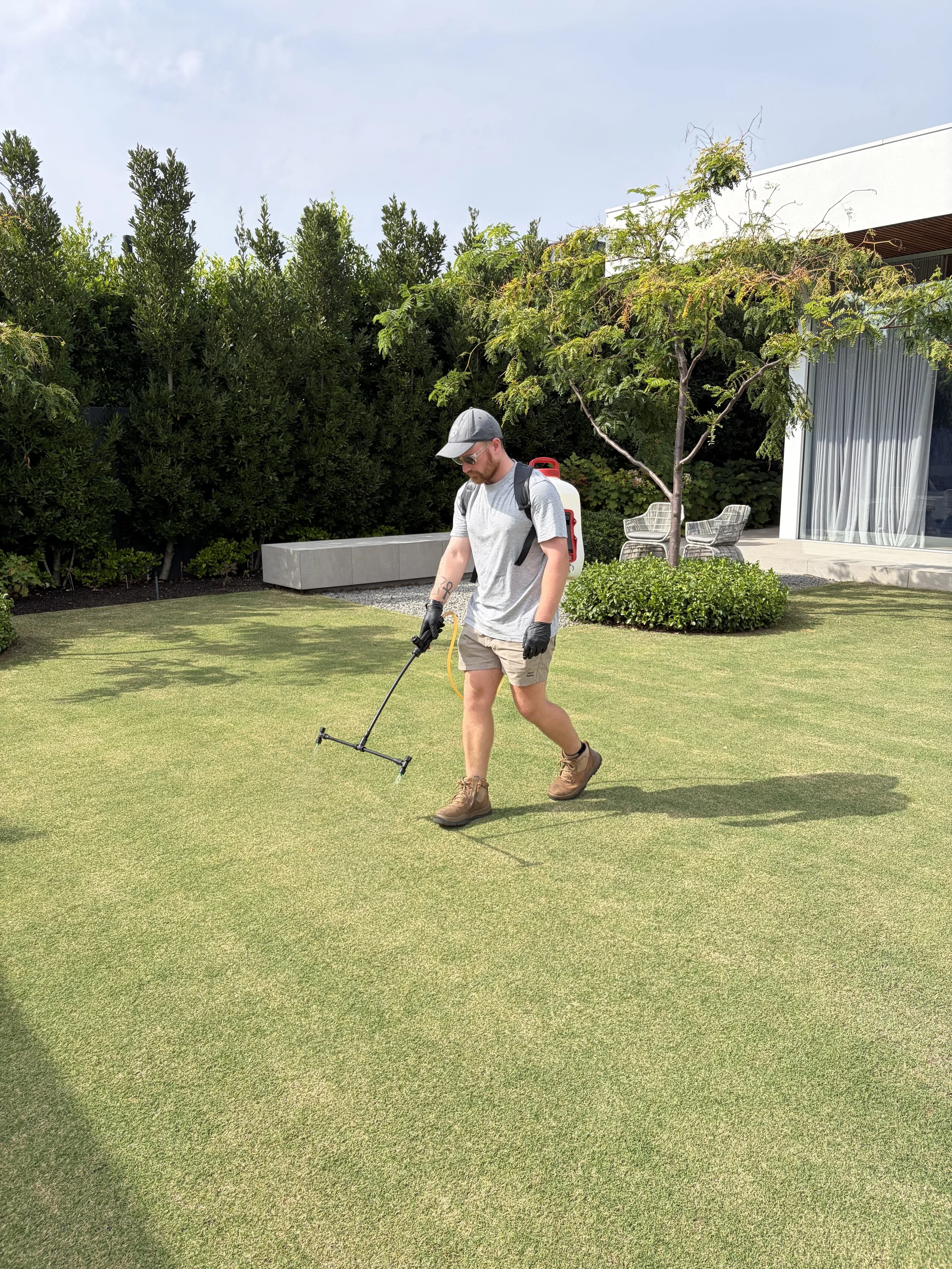 Spraying fertiliser on lawn in Bayside