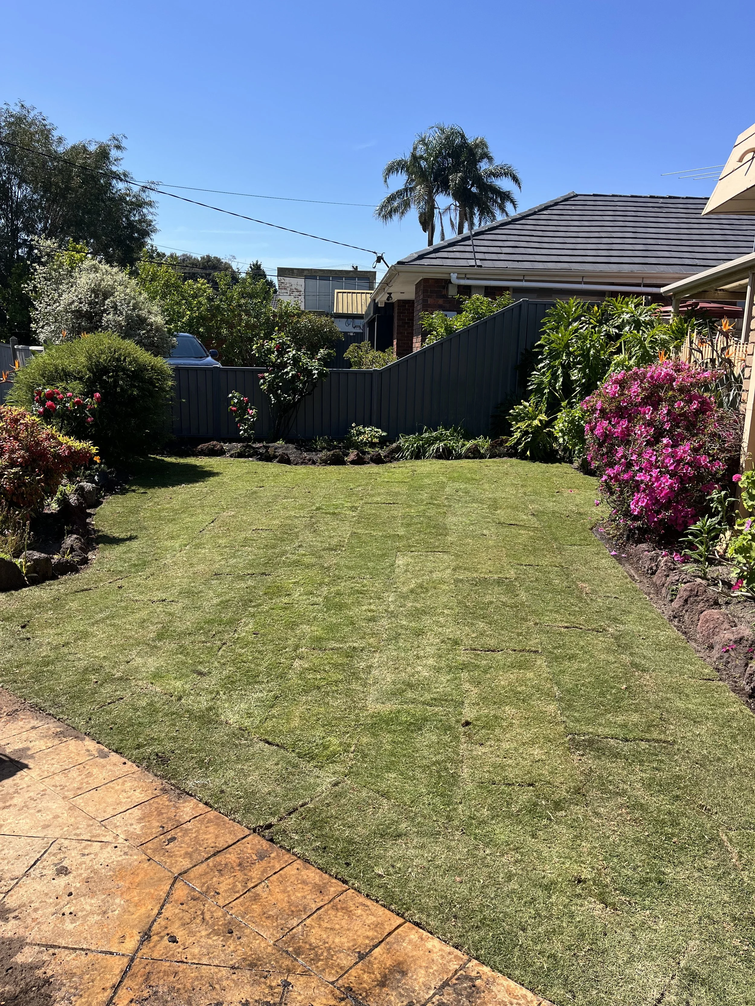 Fresh new TifTuf Couch on this front yard in Keysborough.