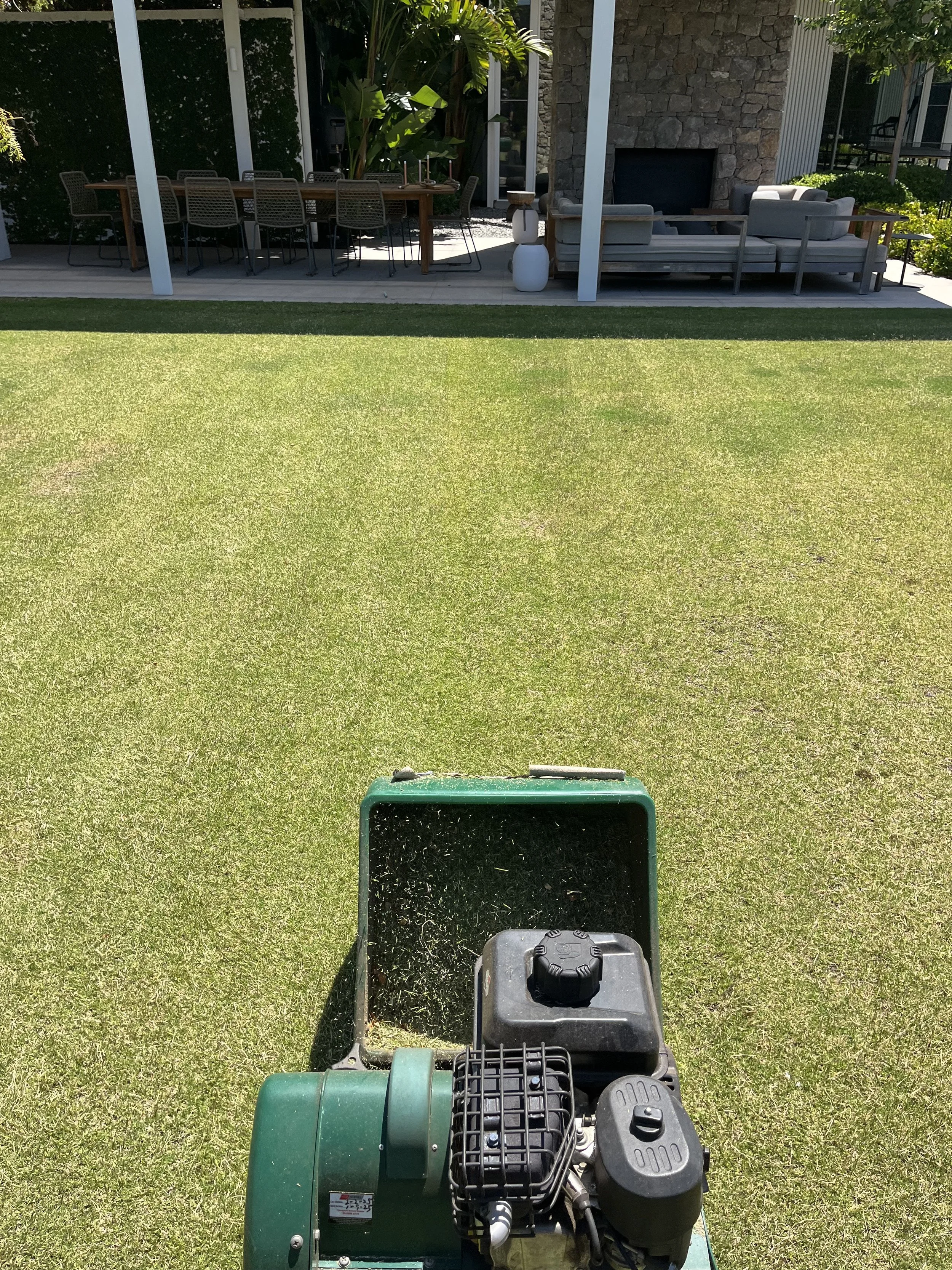 Cylinder mowing a Santa Ana couch lawn in Sandringham