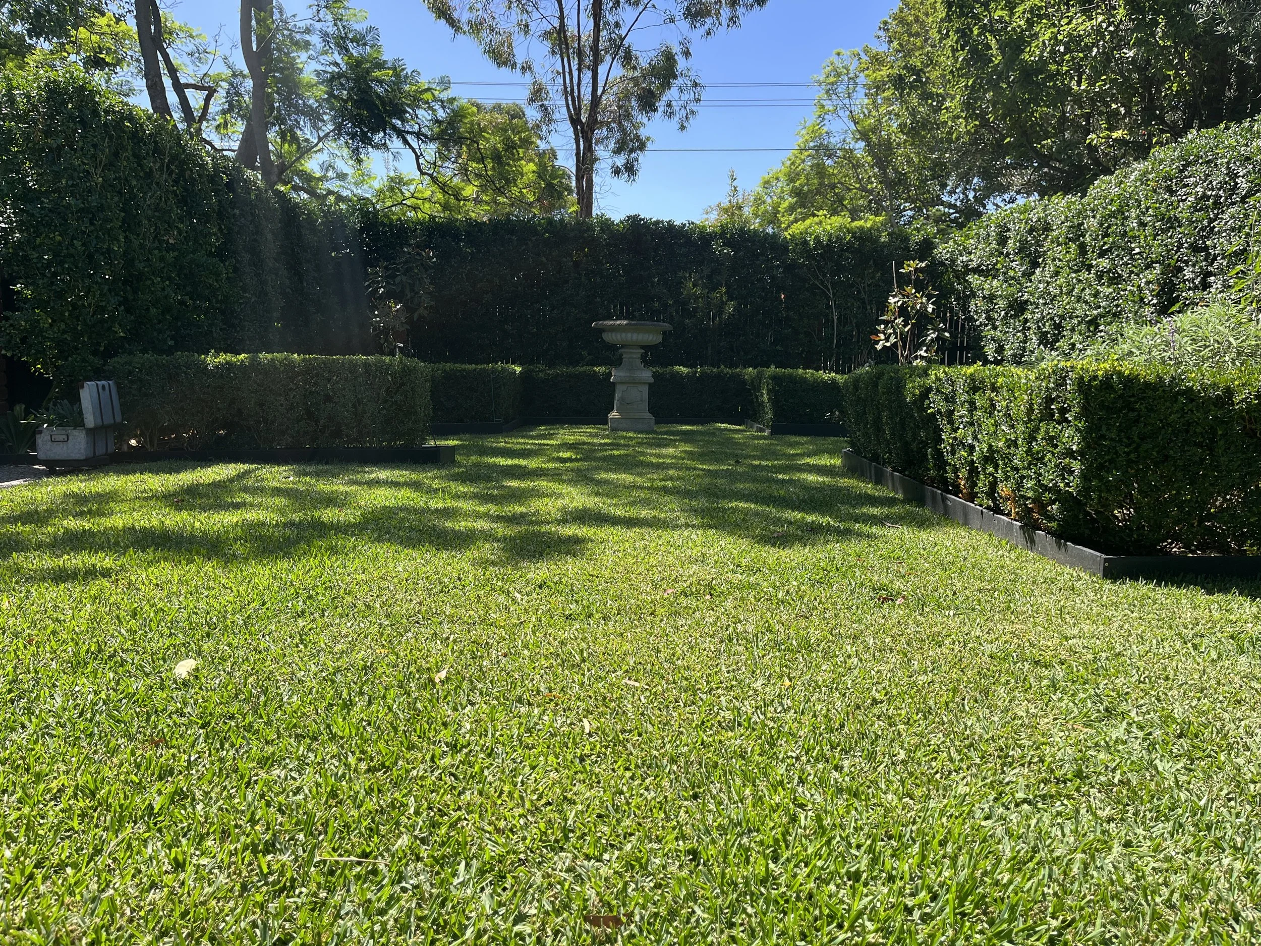 Lush green buffalo grass lawn in Black Rock