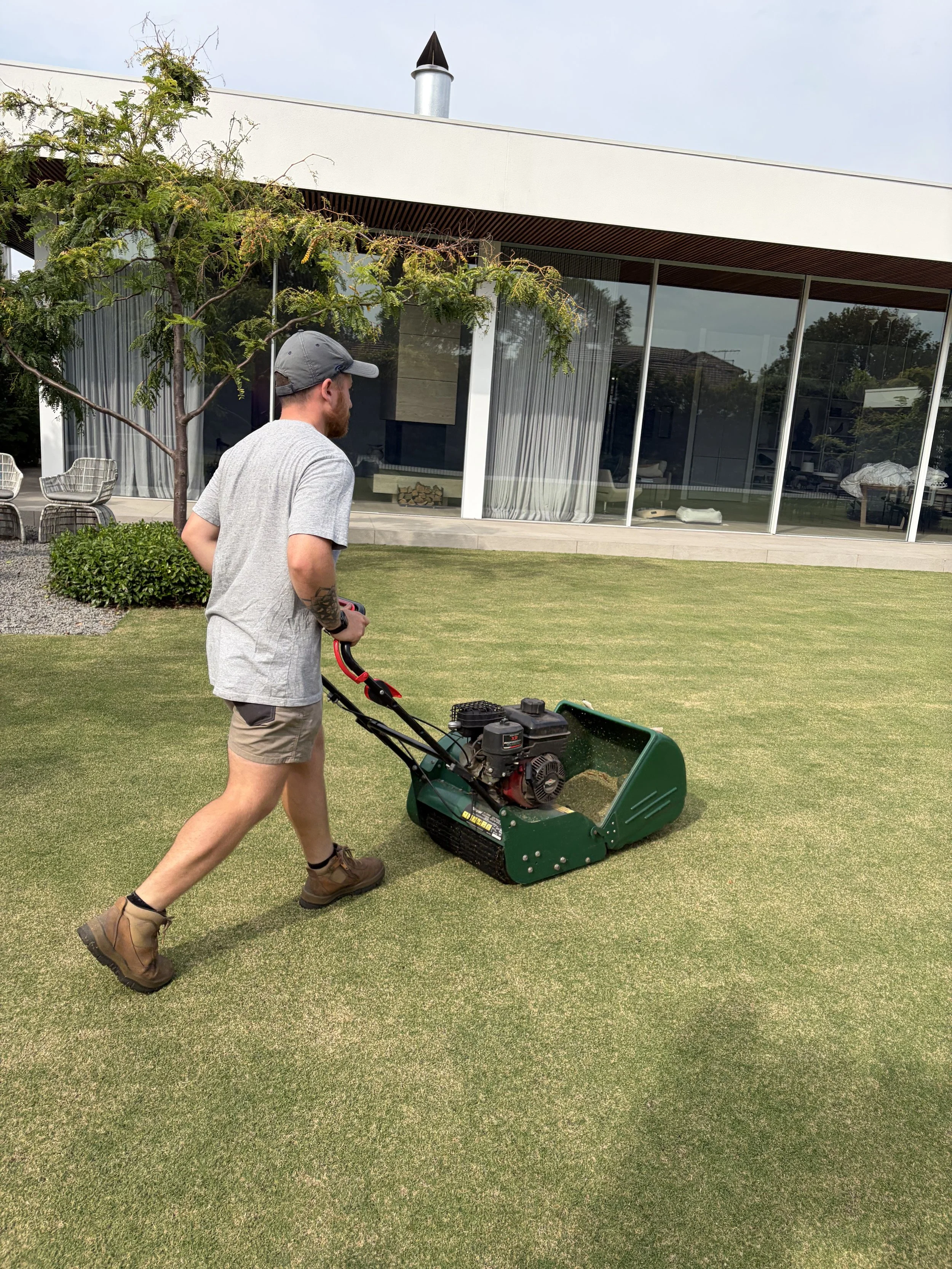 A man pushing a cylinder mower on a fine-cut turf in a Bayside backyard.