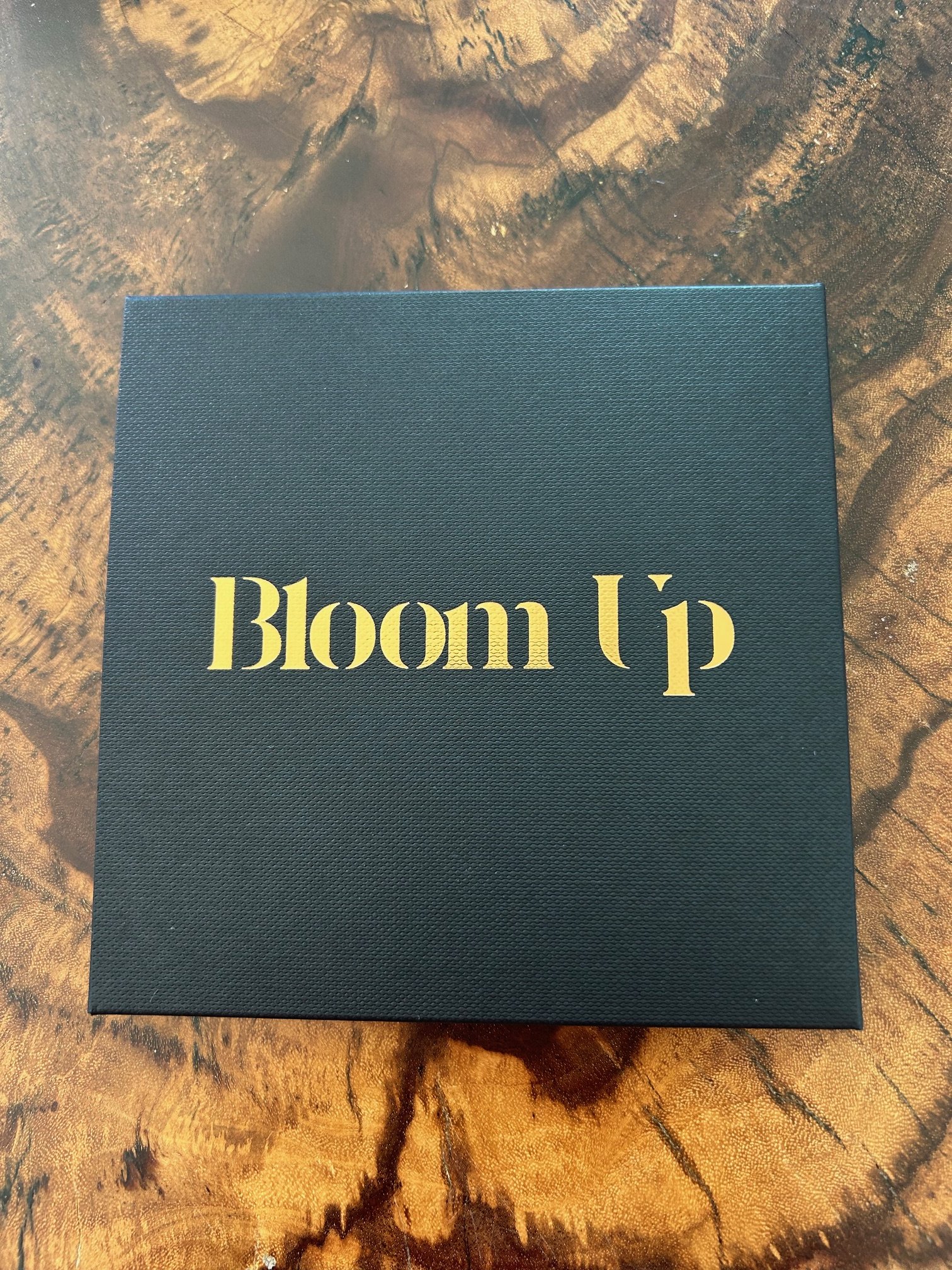 BLOOM UP.jpg