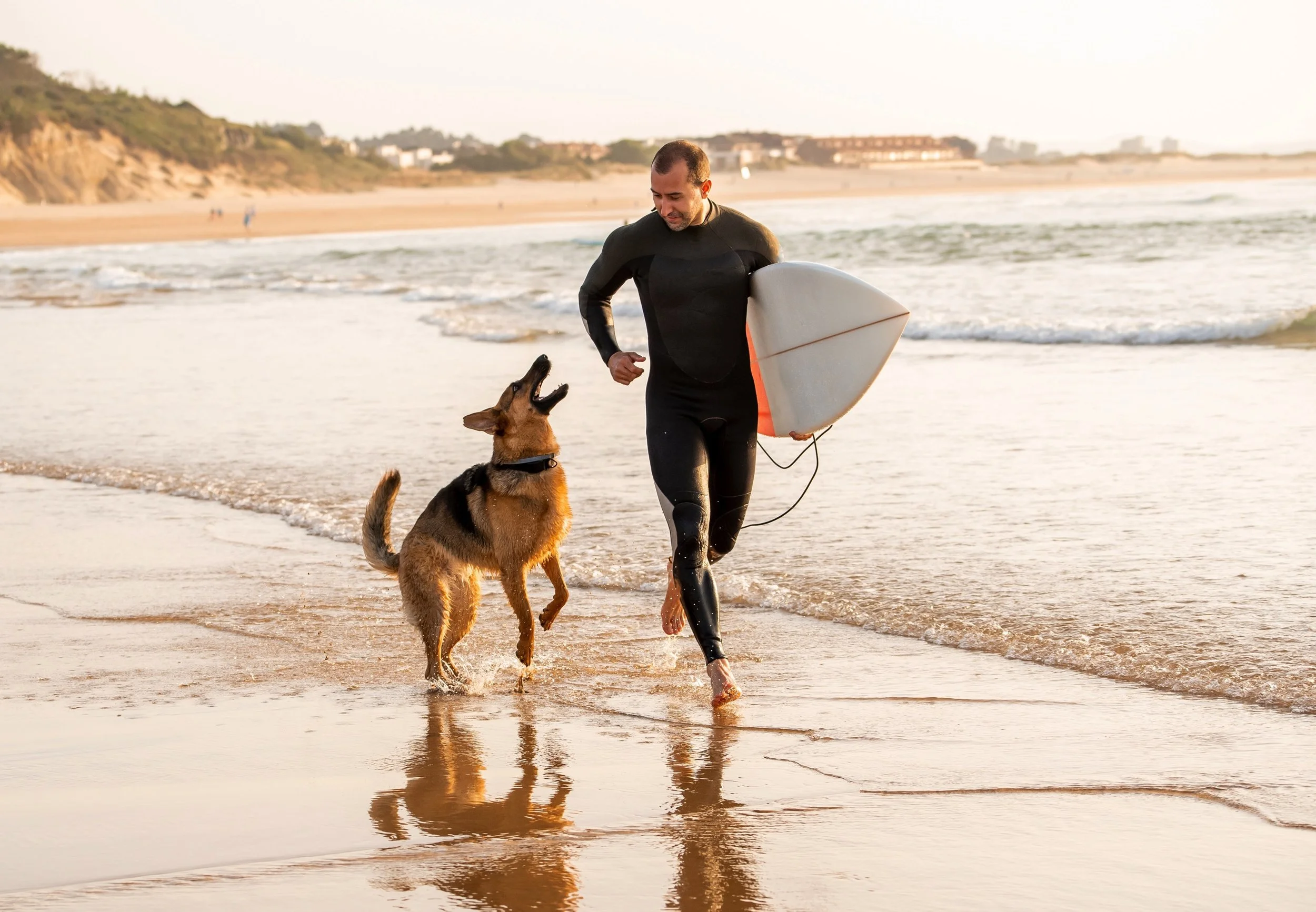 A man in a wetsuit running on the beach with a German Shepherd dog, holding a surfboard under his arm, during sunset.