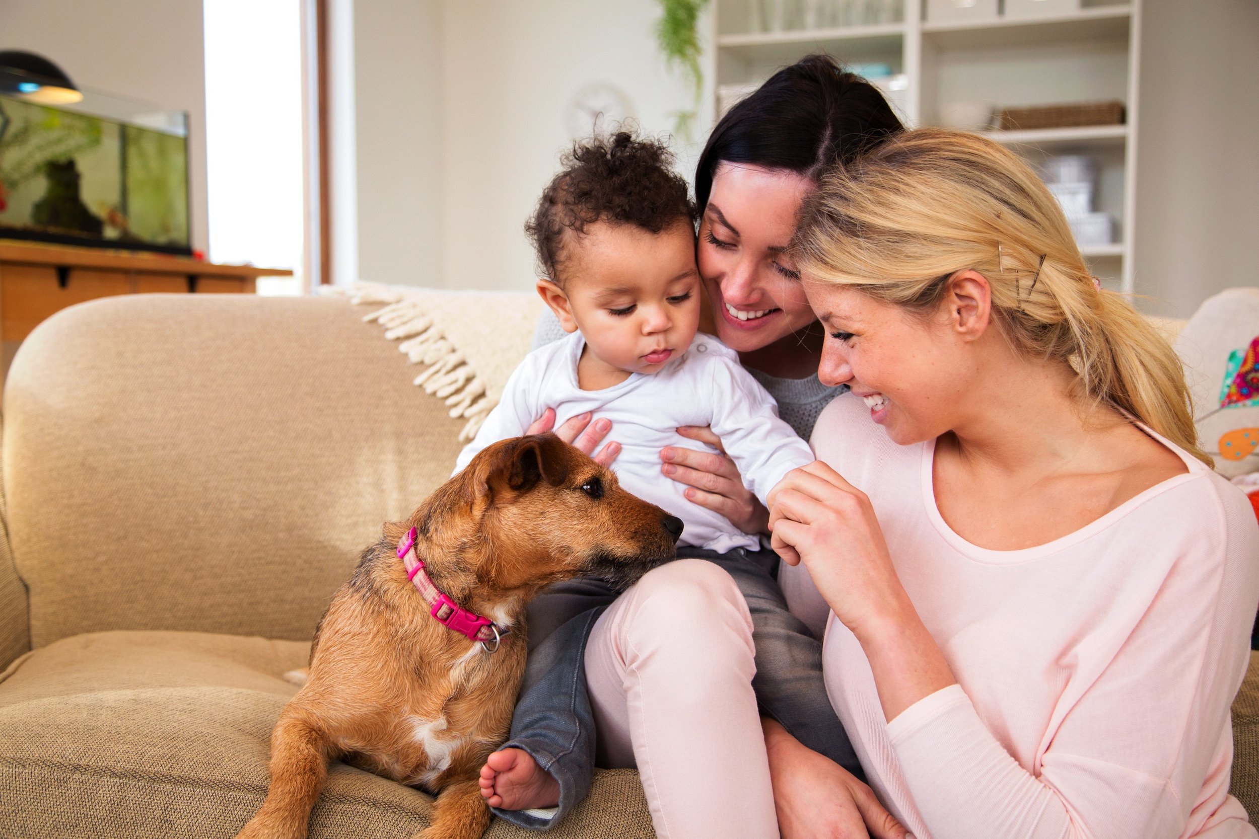 Two smiling women, a toddler, and a dog sitting on a beige couch in a living room, with the women and child interacting with the dog.