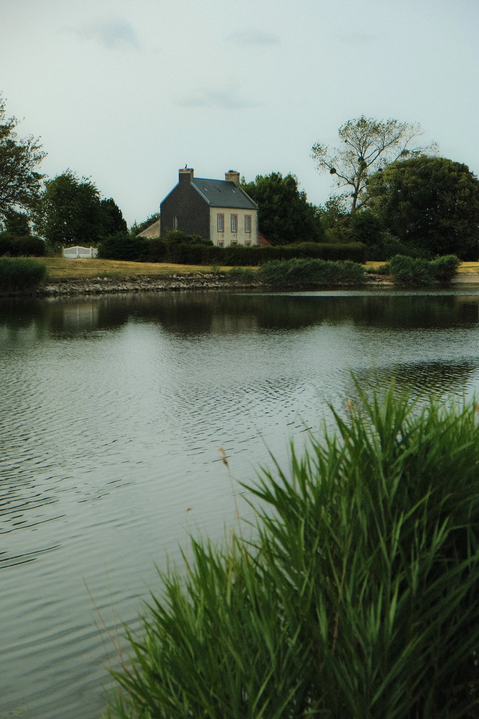 sans titre-Squarespace-3.jpg