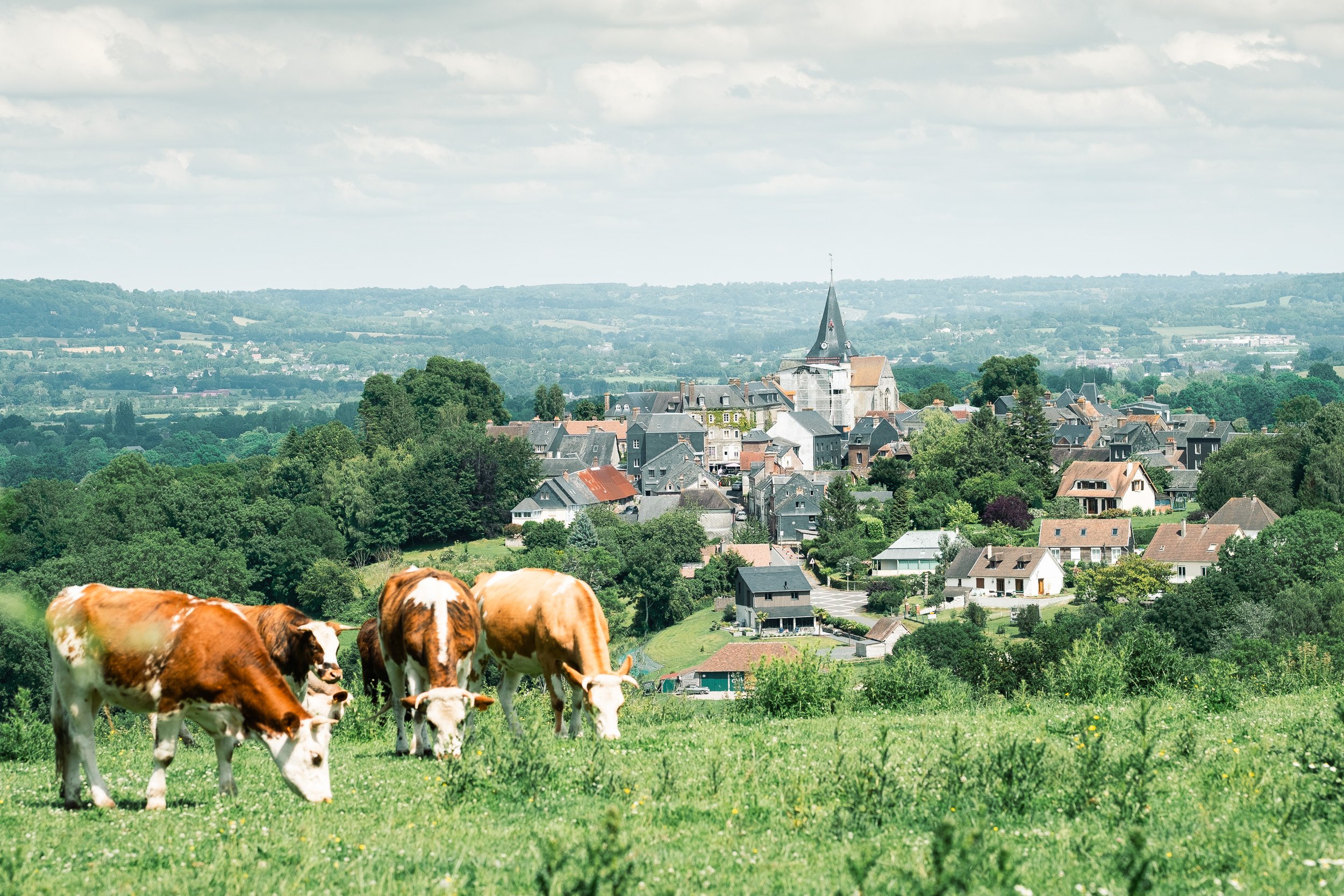 sans titre-Squarespace-2.jpg