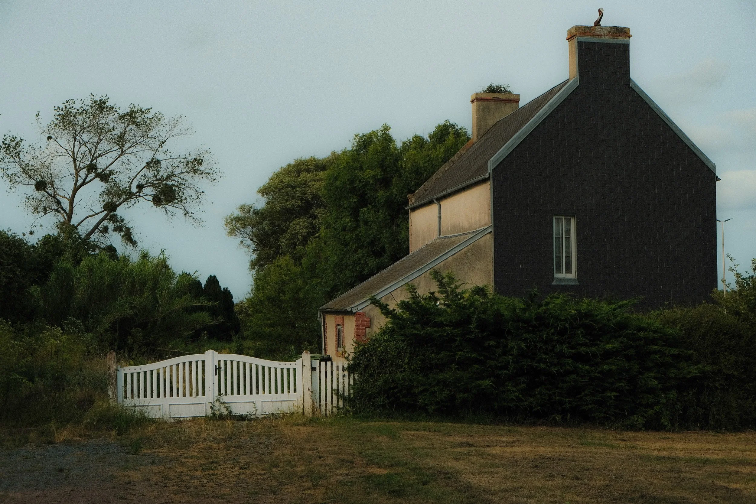 sans titre-Squarespace-4.jpg