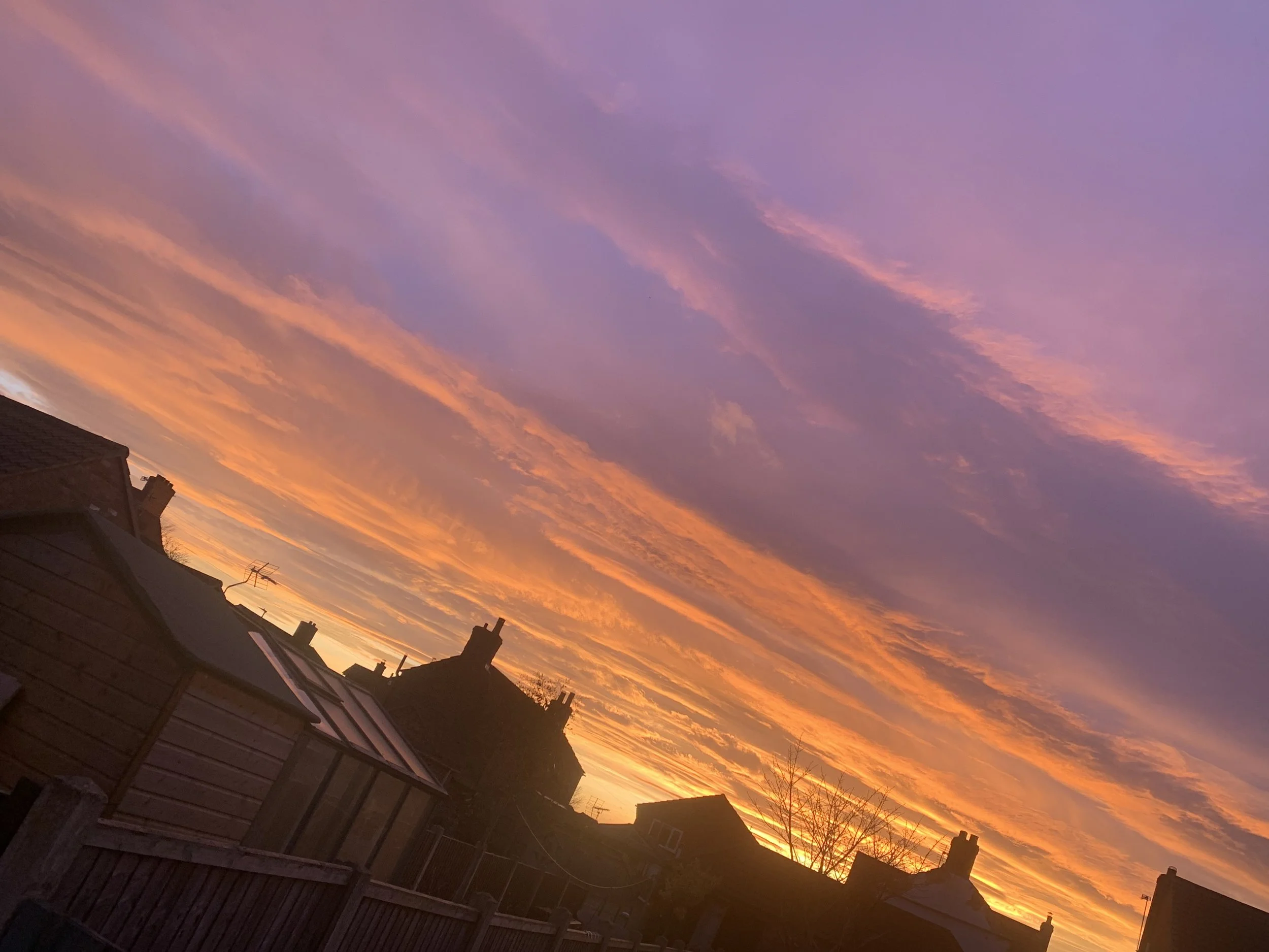 Colorful sunset sky with shades of pink, purple, and orange over a residential neighborhood with rooftops and chimneys.