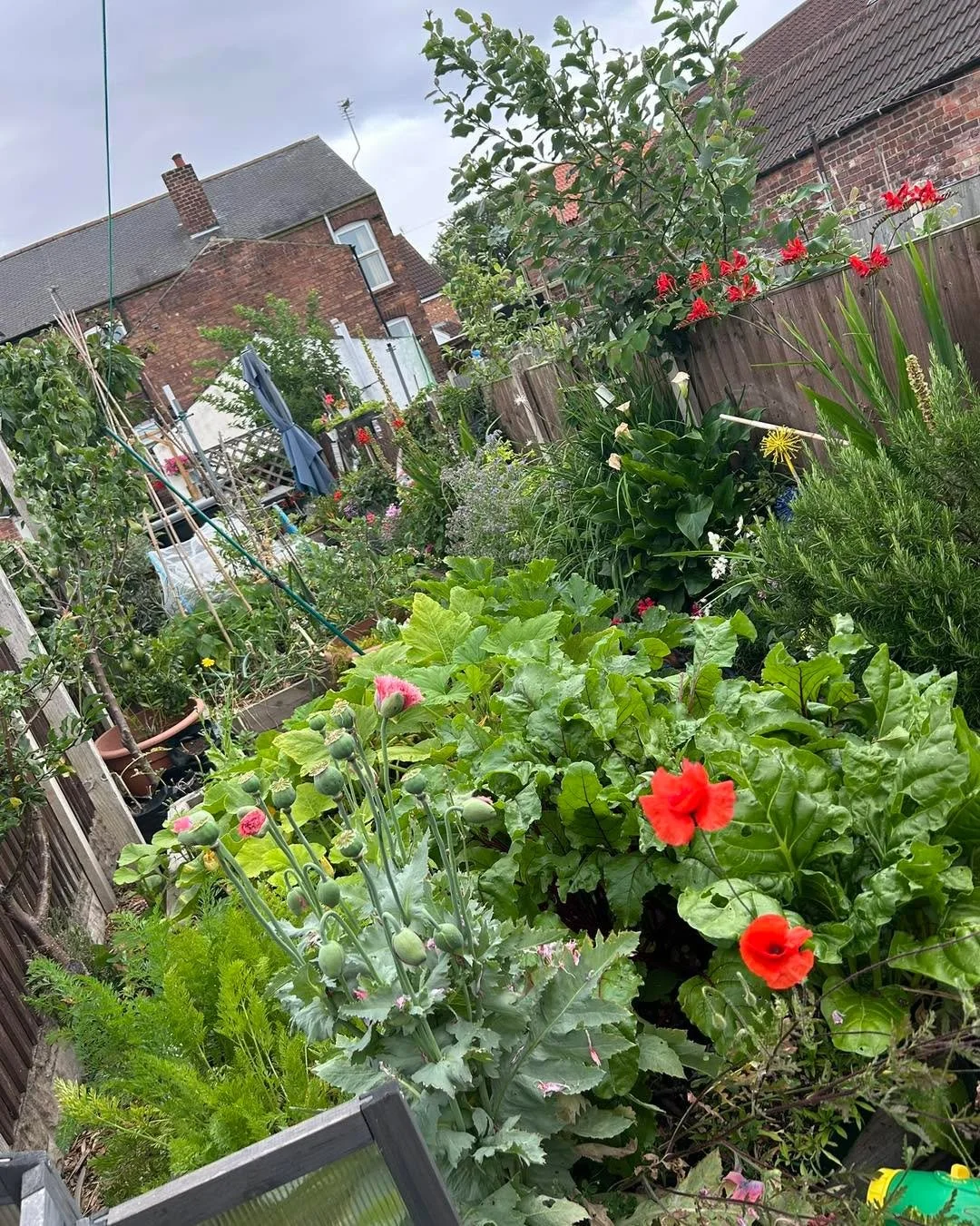 What is Green Goddess Kitchen Garden? 🌿

Green Goddess Kitchen Garden is my little corner of the world where growing, making, and living gently all come together.

It&rsquo;s about:
&bull; growing food in a way that feels simple and achievable
&bull