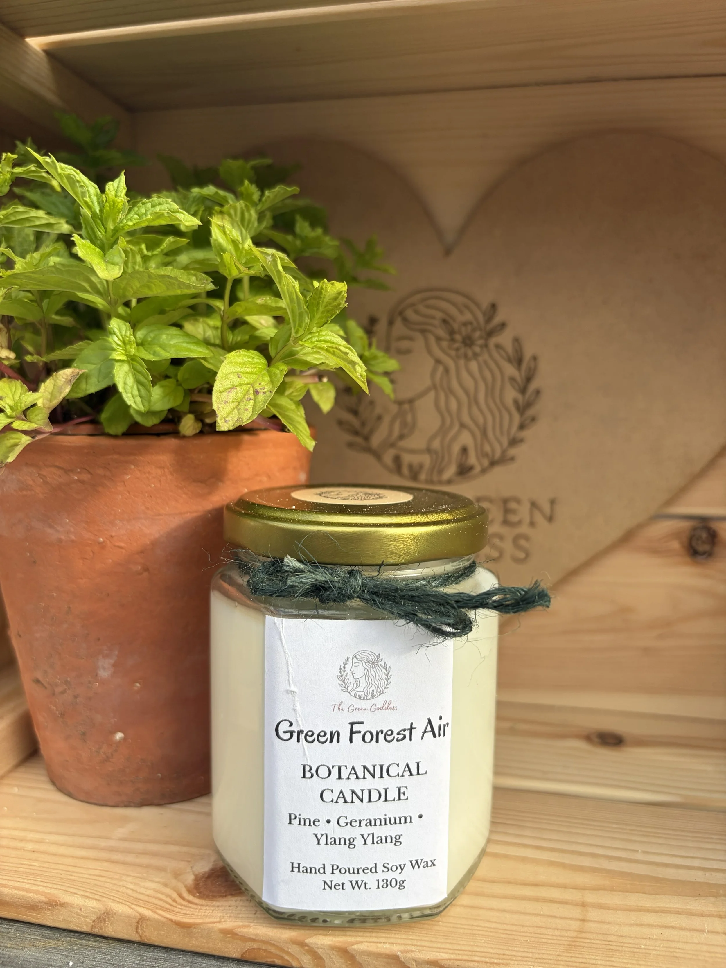 Green Forest Air Botanical Candle