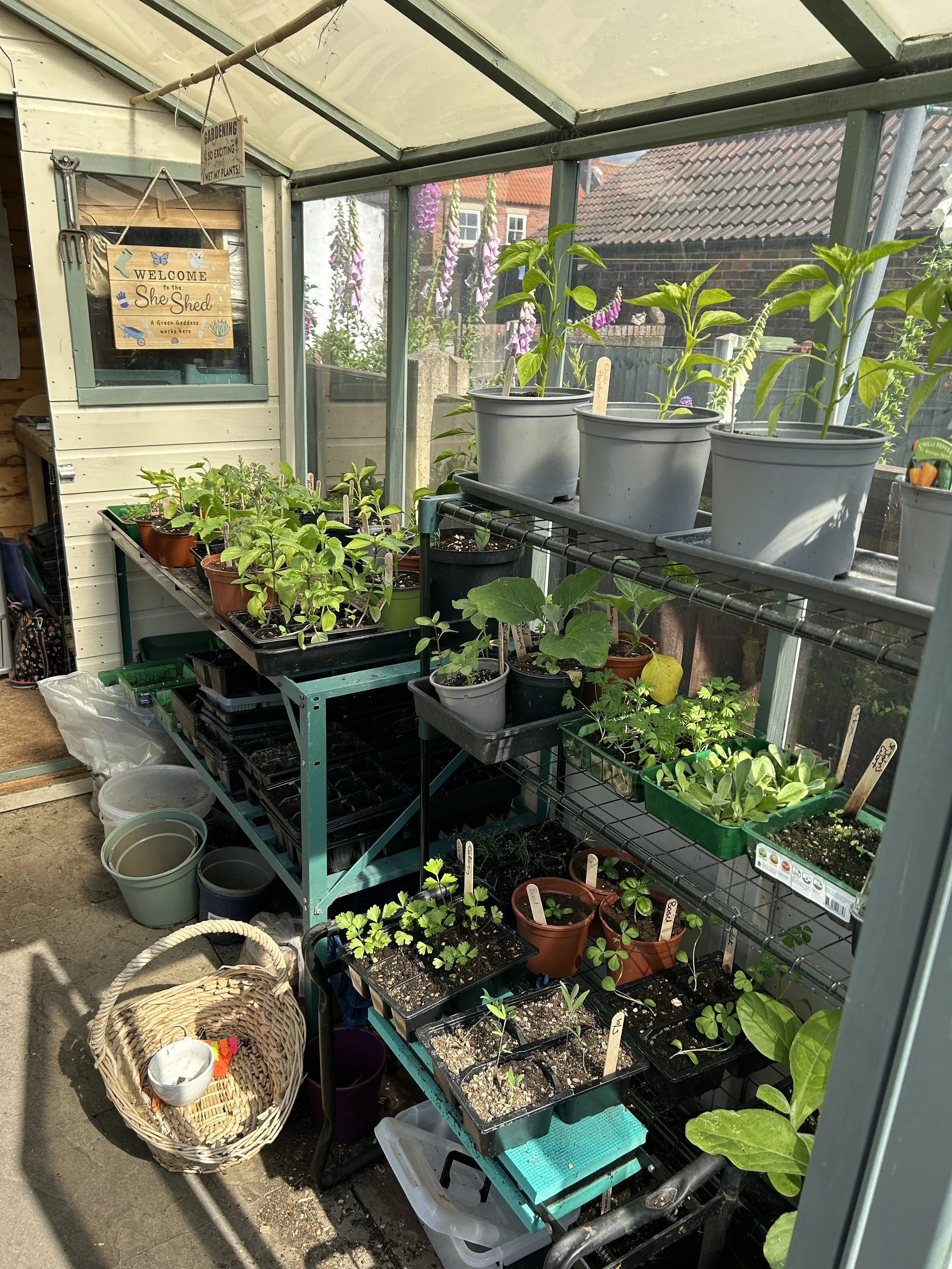 A small greenhouse with various potted plants and seedlings on shelves and tables, with a welcome sign inside reading 'Welcome to the Shed.'