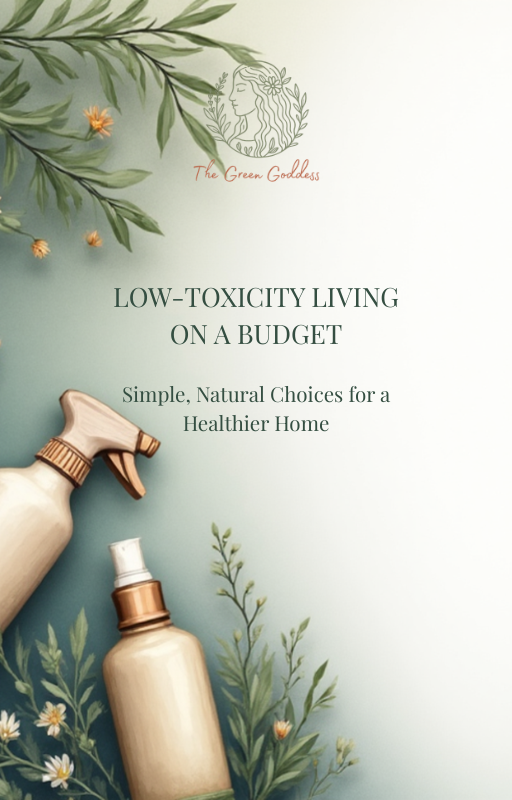 eBook - Low-Toxicity on a Budget