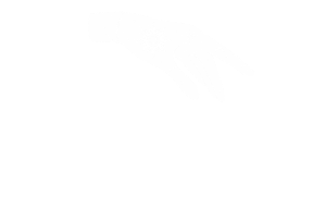 Logo featuring a pointing hand and the text 'The Strange Apothecary' with decorative elements.
