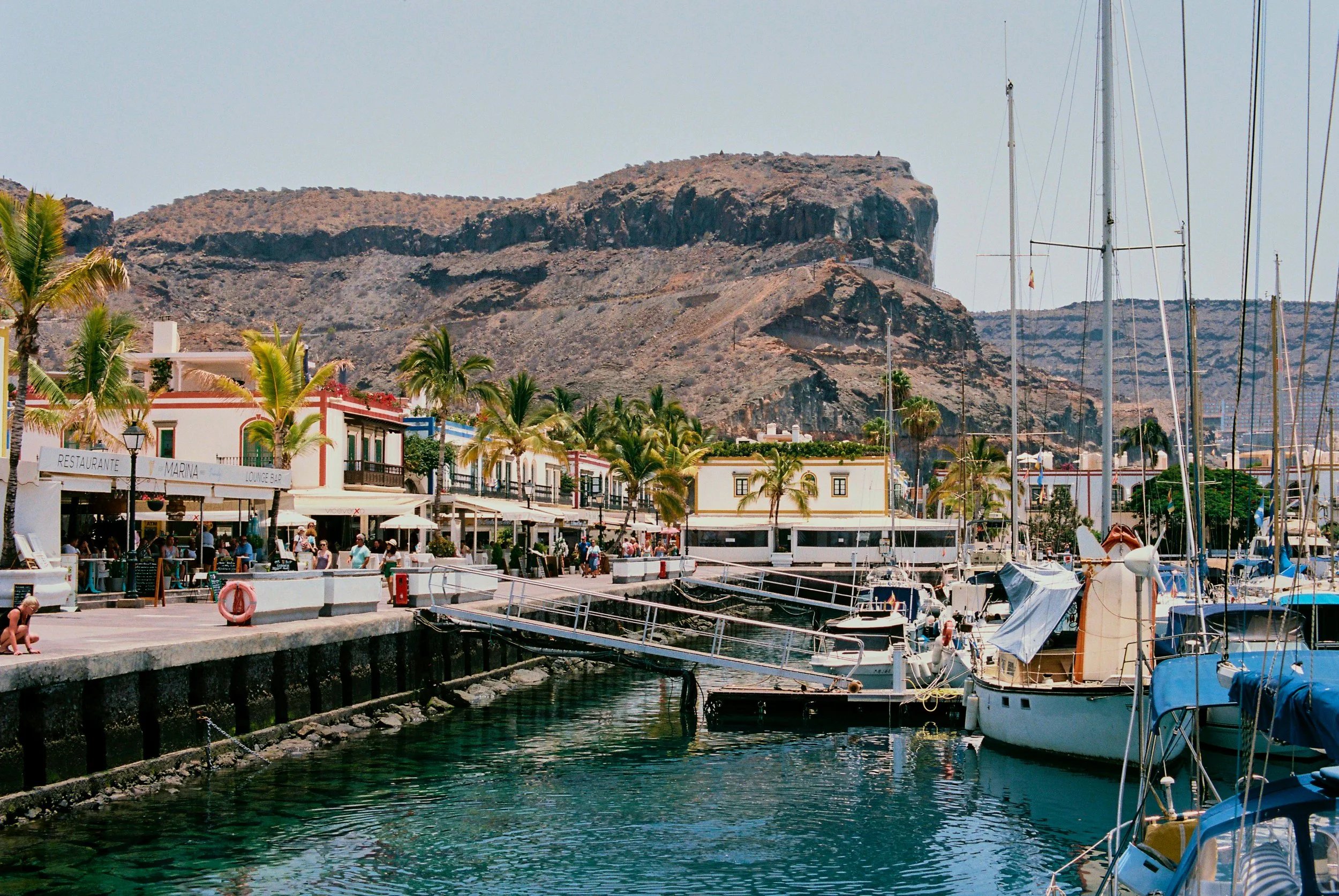 Marina with boats docked and palm trees in front of colorful buildings, mountain backdrop.