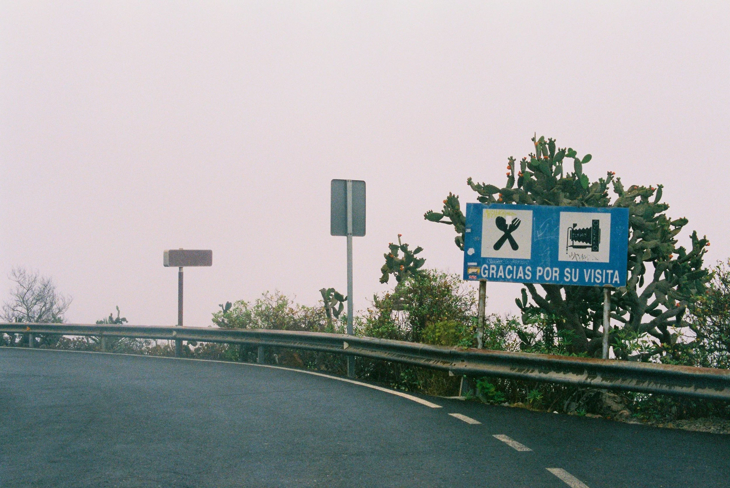 A curved highway with a guardrail, cactus plants, and a blue sign with symbols of food and a bed, and the text 'Gracias por su visita'.
