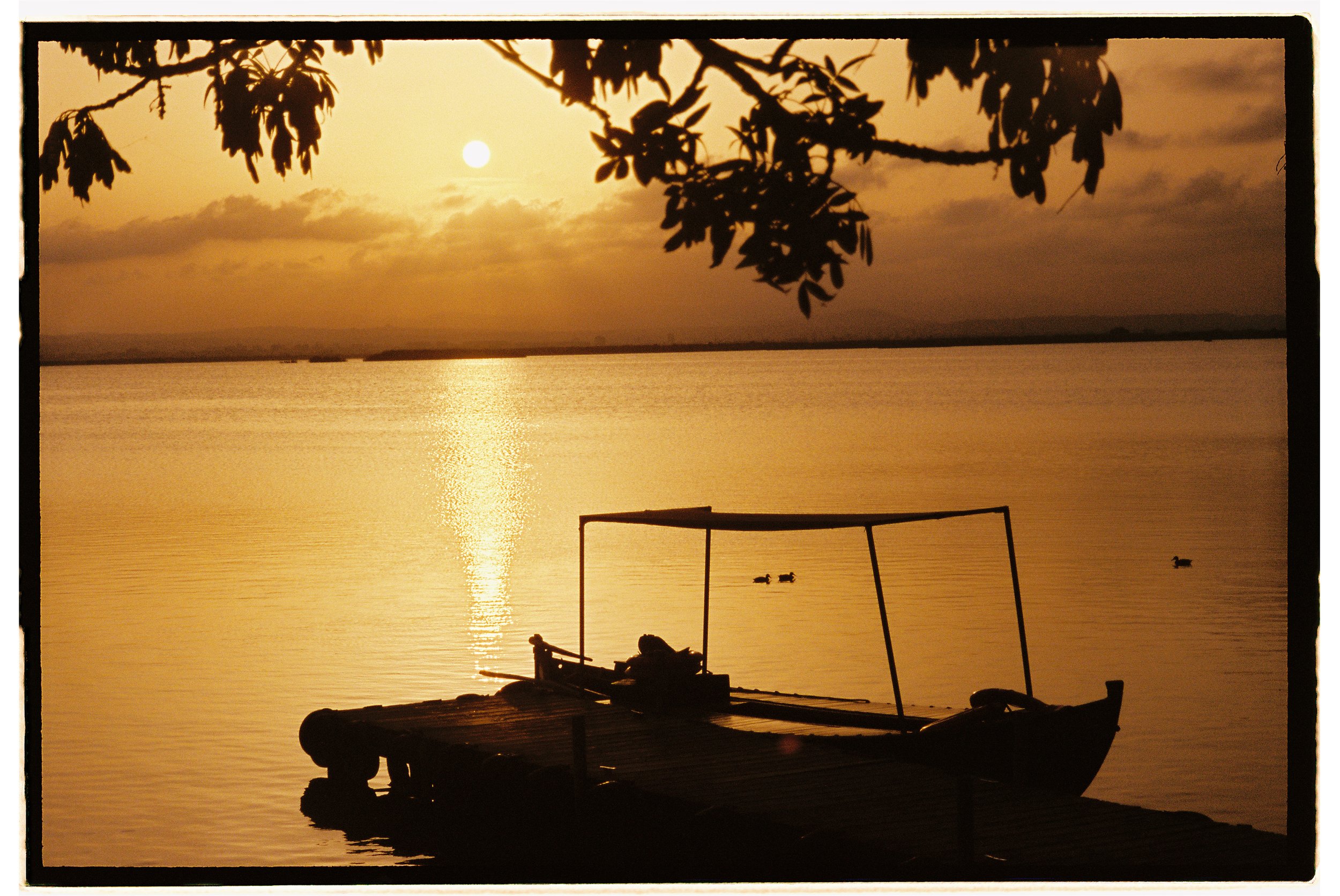 Silhouette of a small boat tied to a wooden dock on a calm lake at sunset, with a person lying on the boat, overhanging leaves in the foreground, and ducks swimming in the water.