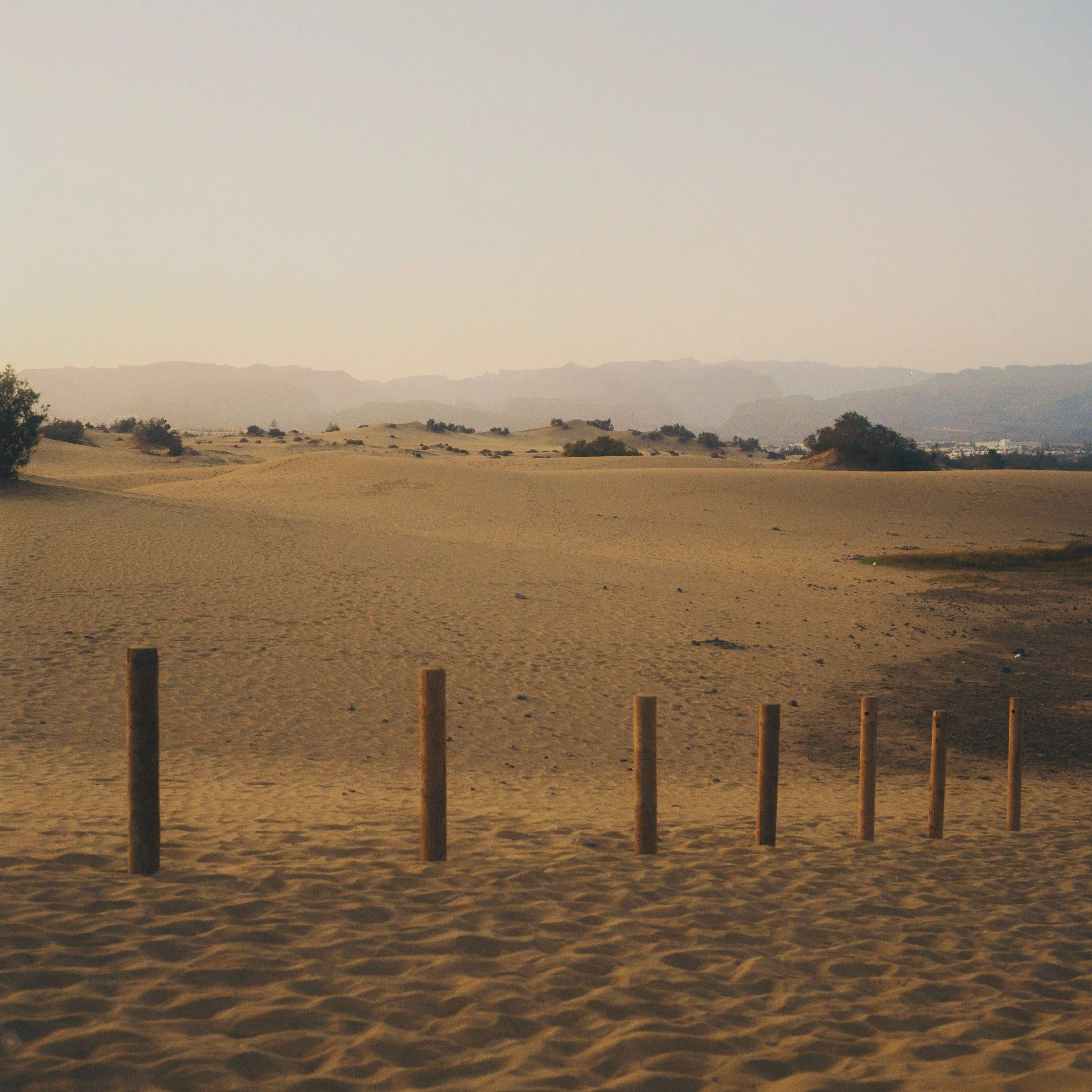 Sand dunes in a desert landscape with a few wooden posts in the foreground and mountains in the distance.